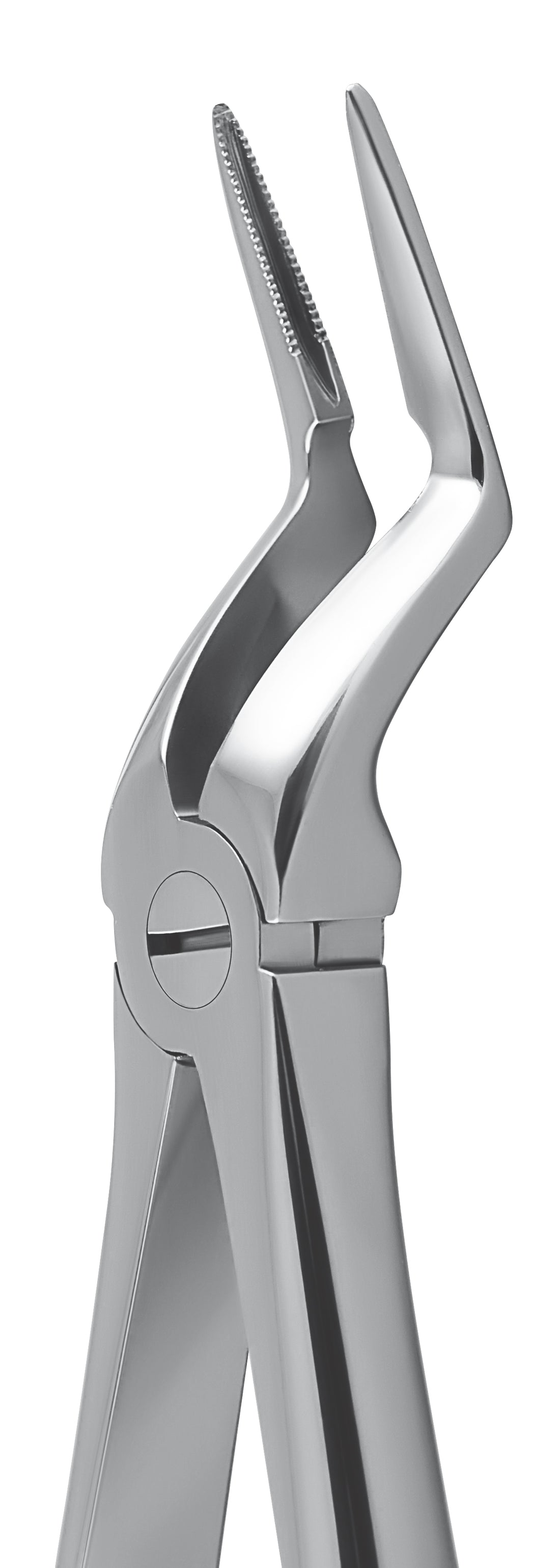 Hunza Fine and Slim Upper Root Tip Forceps
