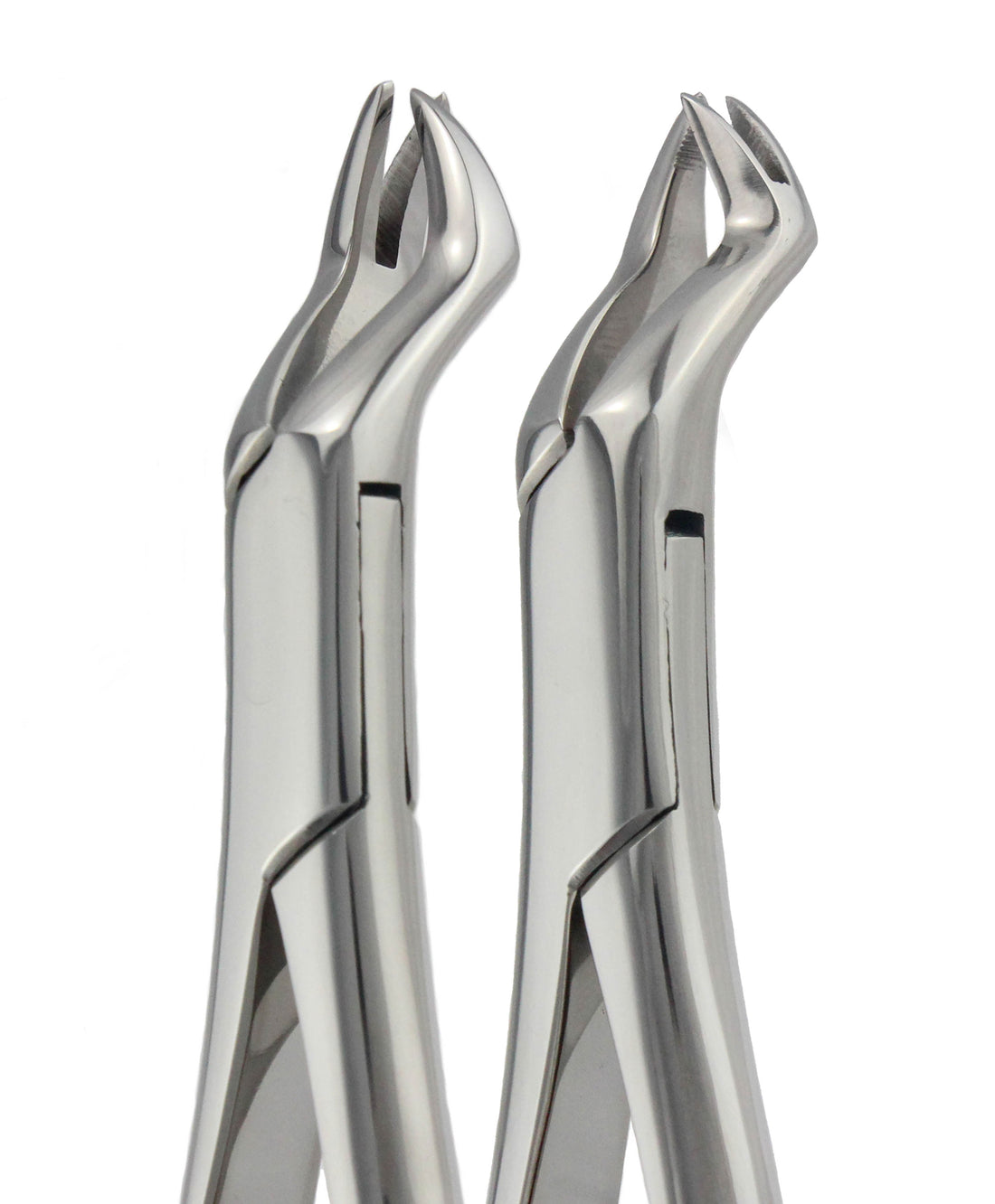 Upper Molar Right & Left Forceps 88L & 88R