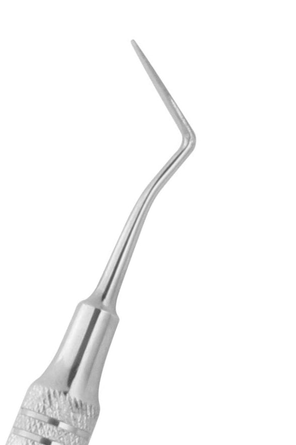Hollenback Carver 3 Price in USA