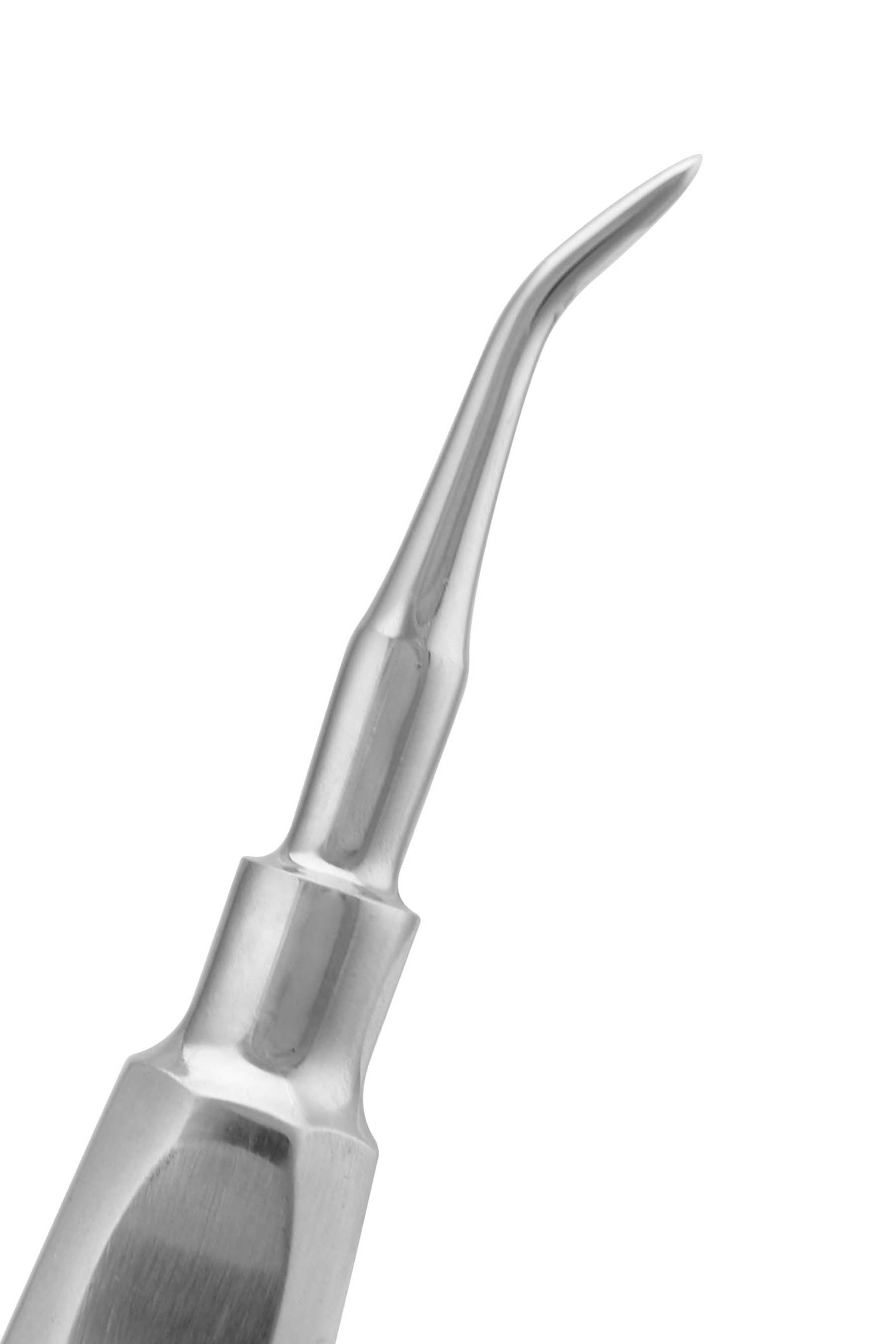 Cogswell Elevator B for dentist in usa