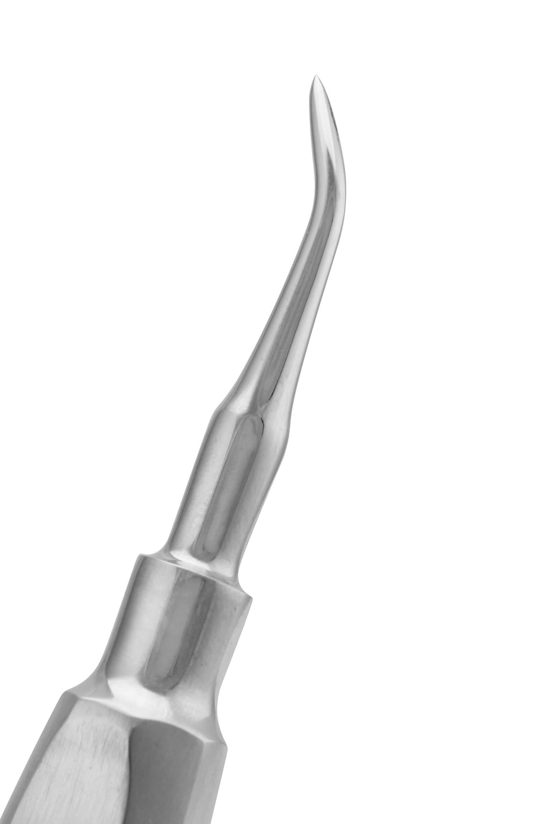 Cogswell Elevator B for dentist in new jersey