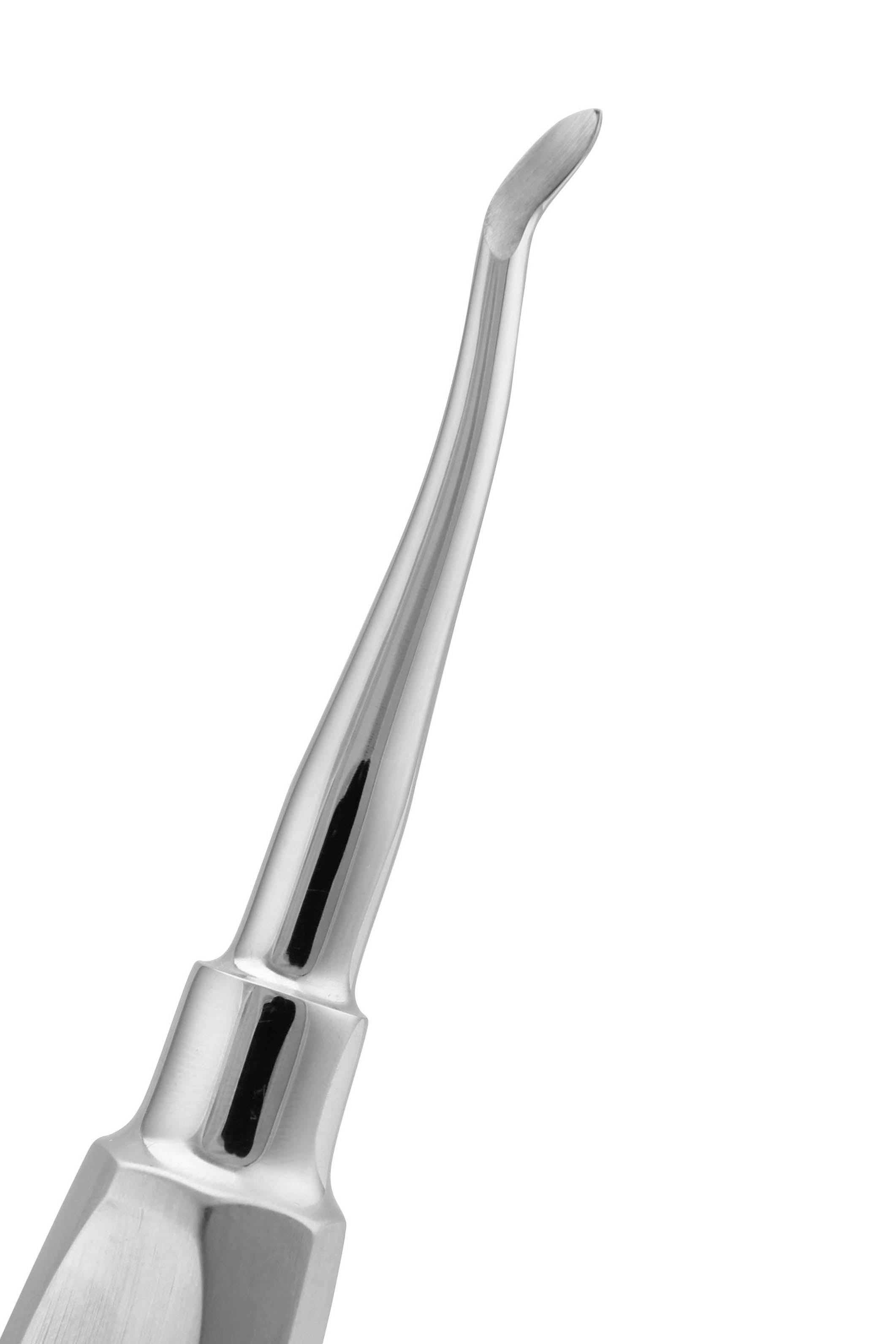 Root Elevator 19 for dental lab in usa