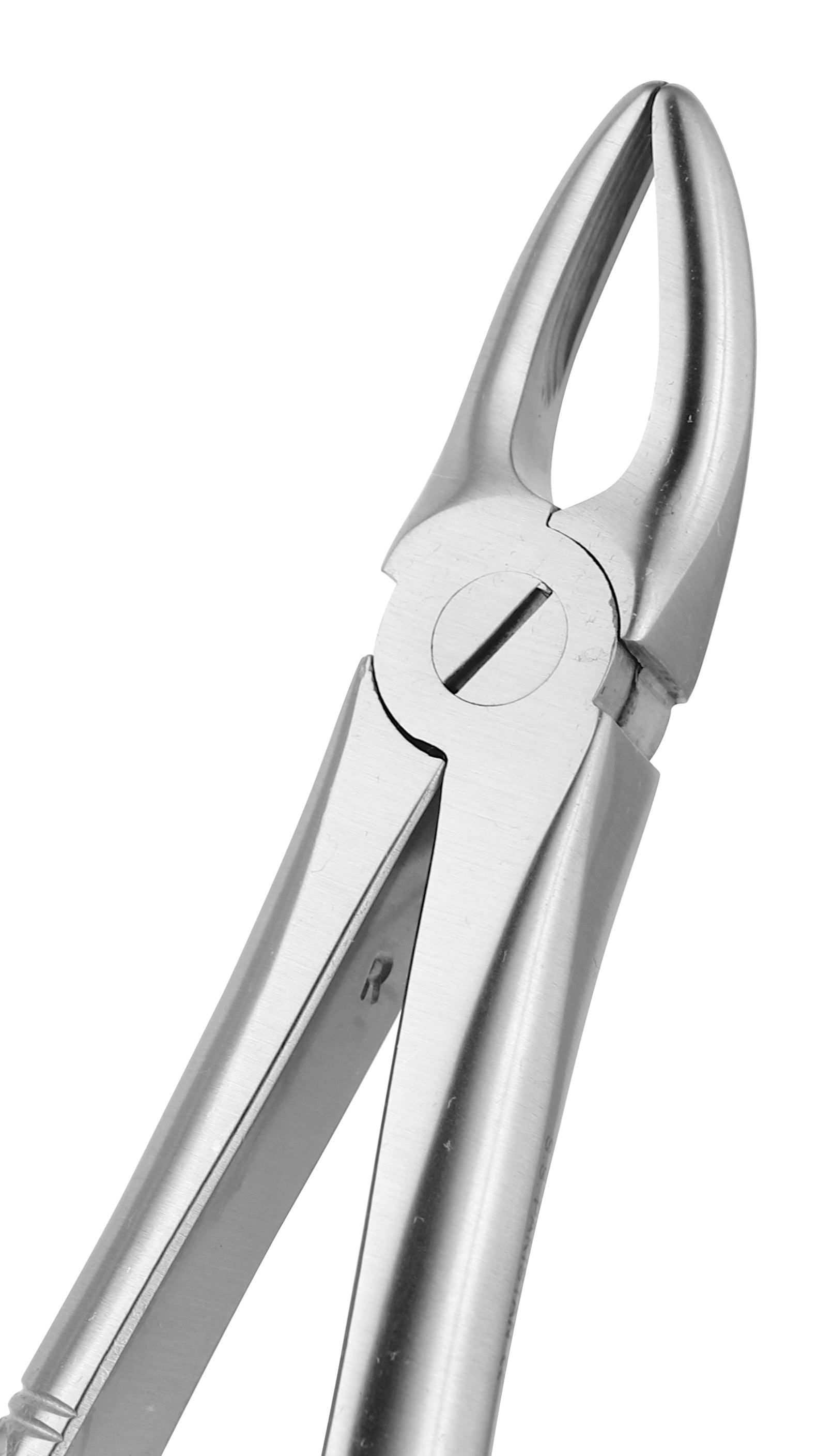 Extraction Forceps 030E