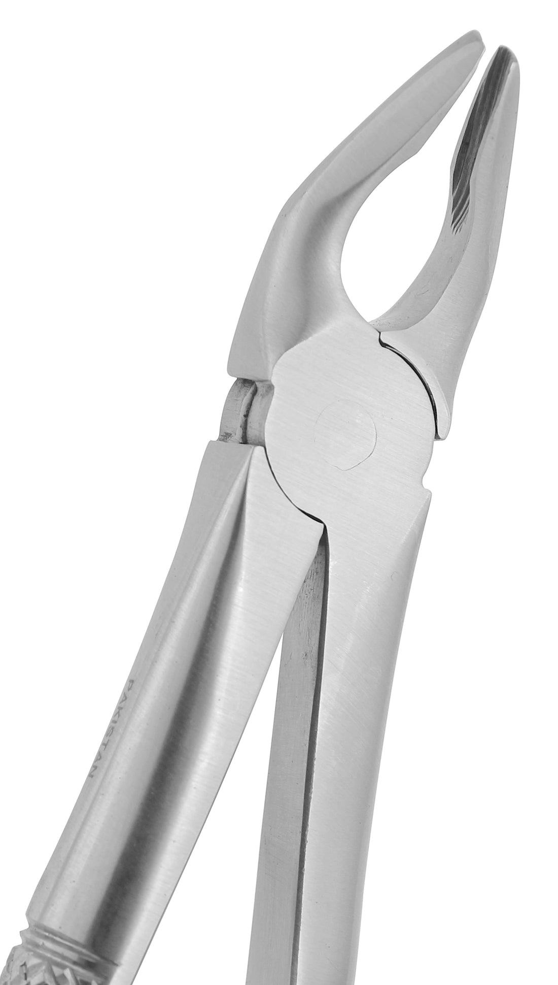 Extraction Forceps 035