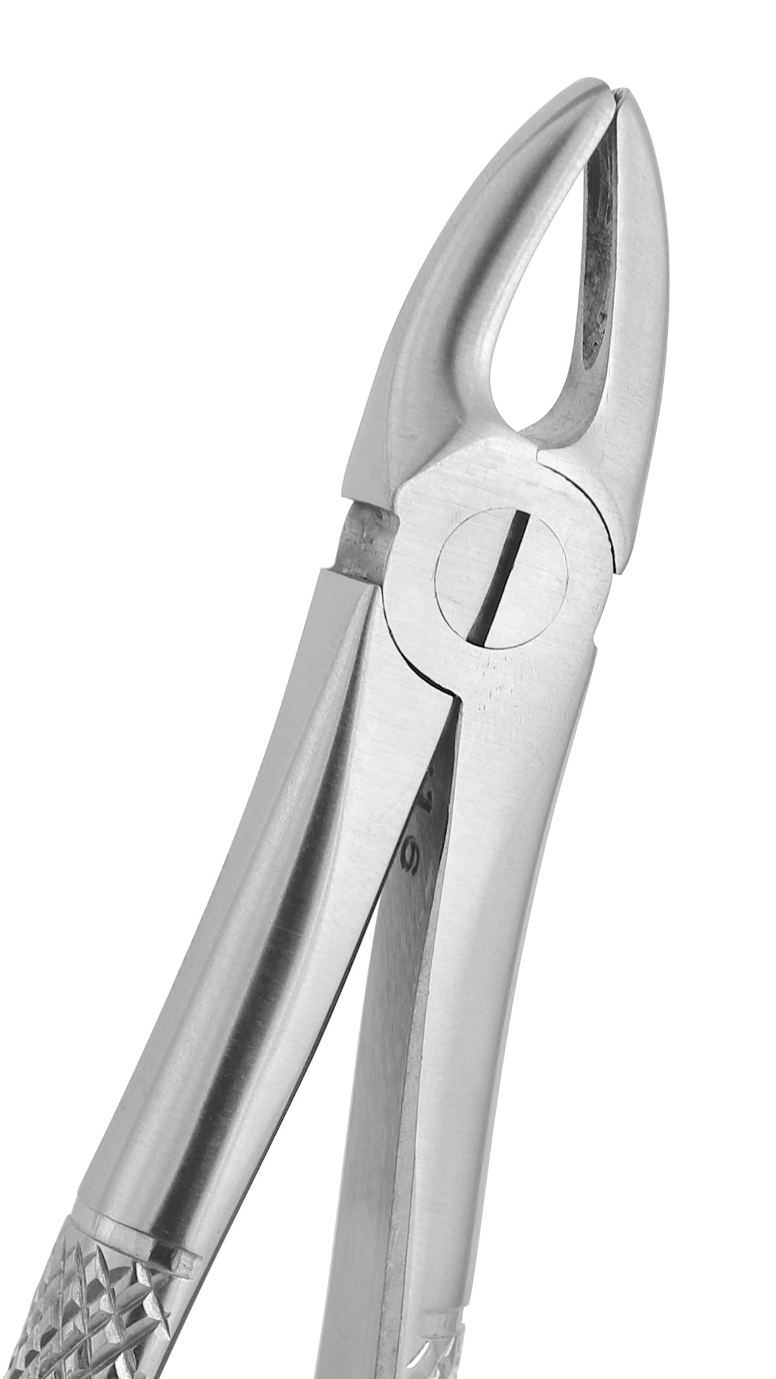 Extraction Forceps 037CE