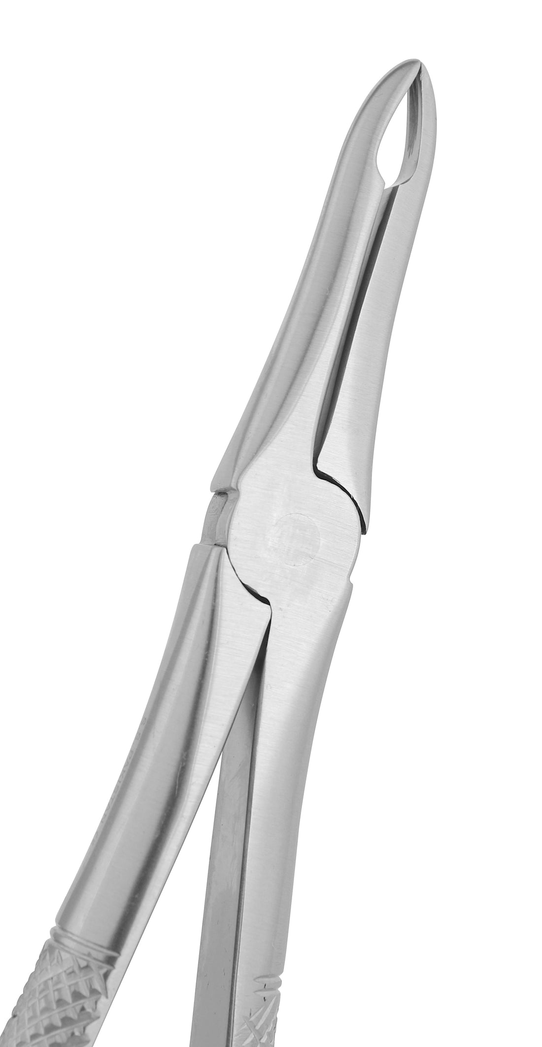 Extraction Forceps 041E