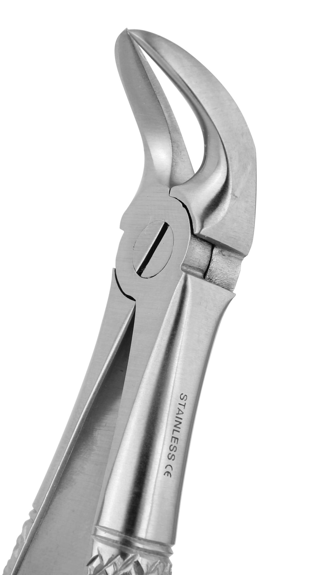 Extraction Forceps 056E