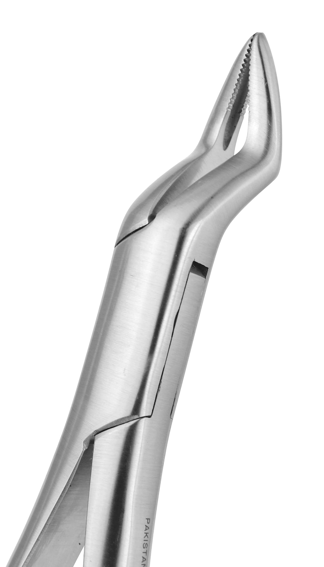 Extraction Forceps 065