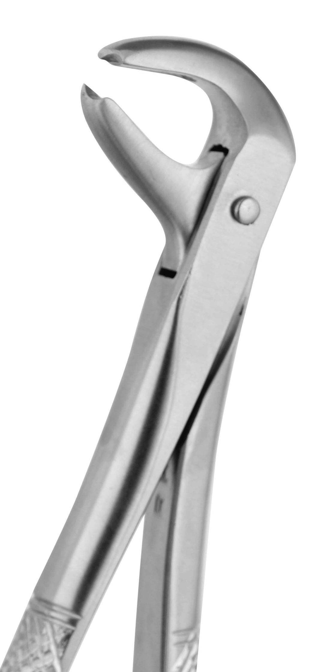Extraction Forceps 073E