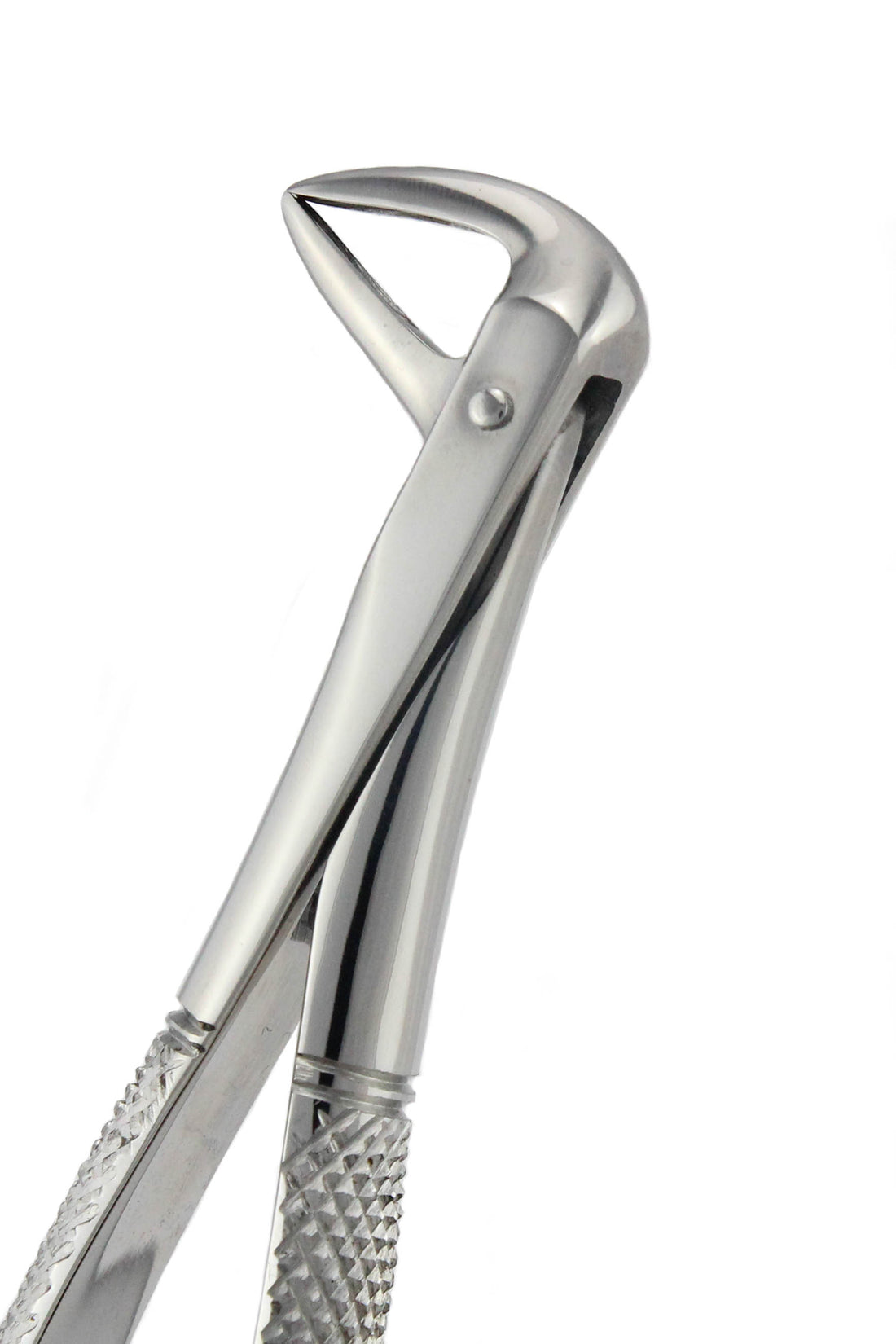 Lower Roots Forceps 074N