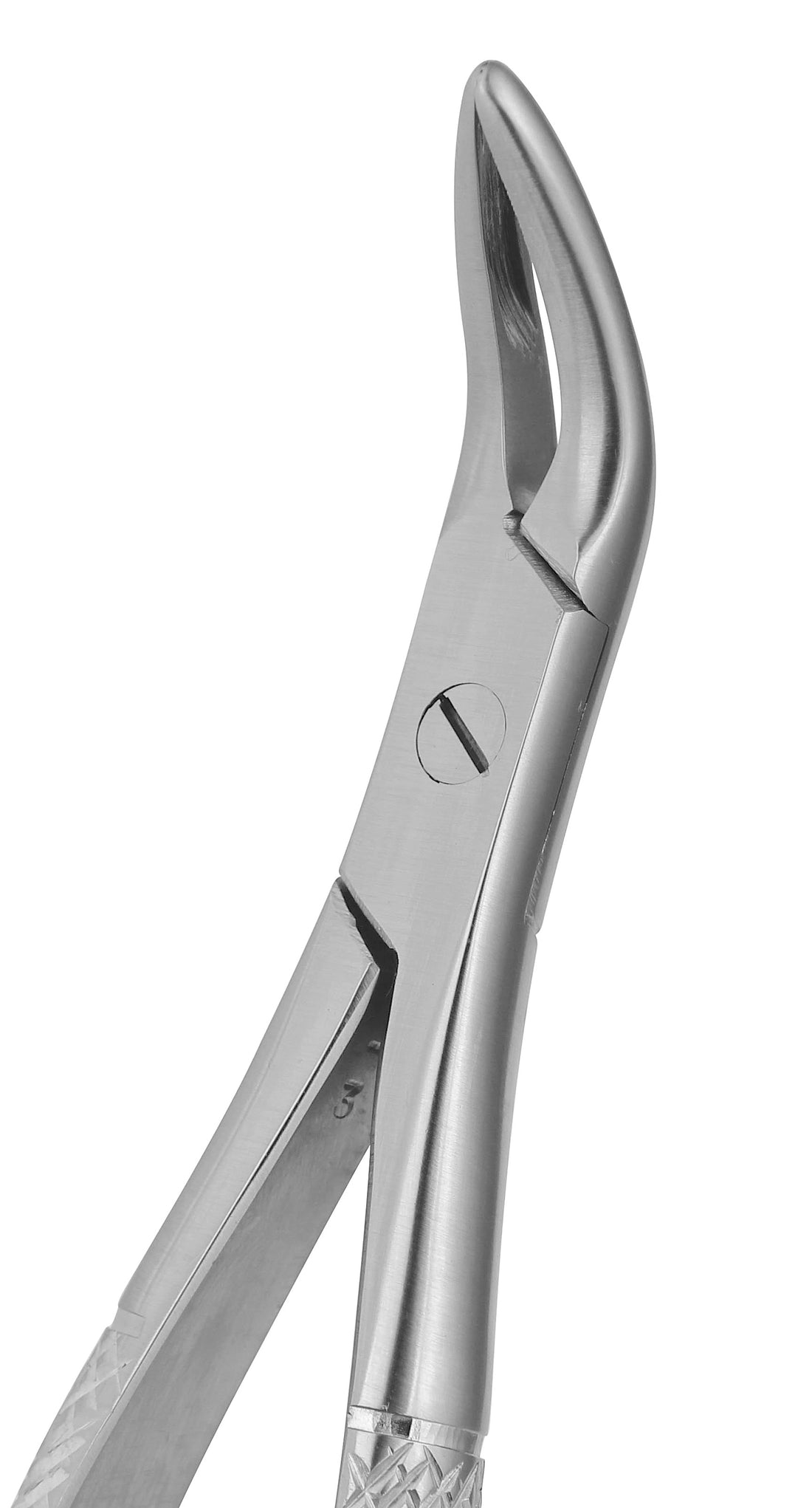 Extraction Forceps 082E
