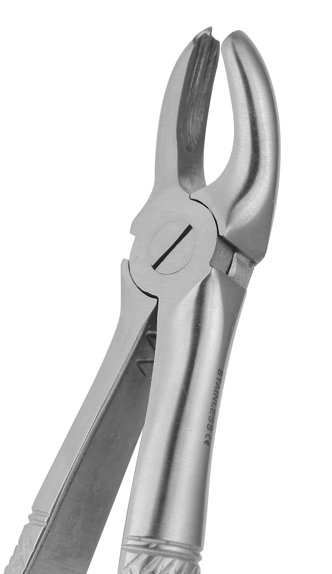 Extraction Forceps 094E