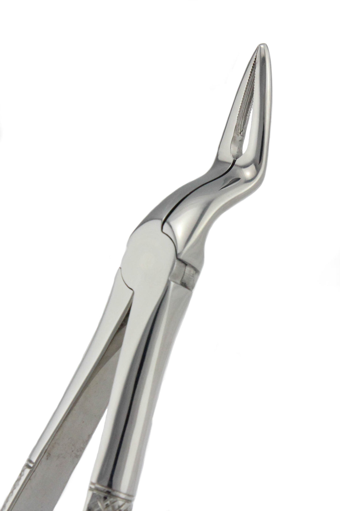 Upper Root Tip Forceps FX97