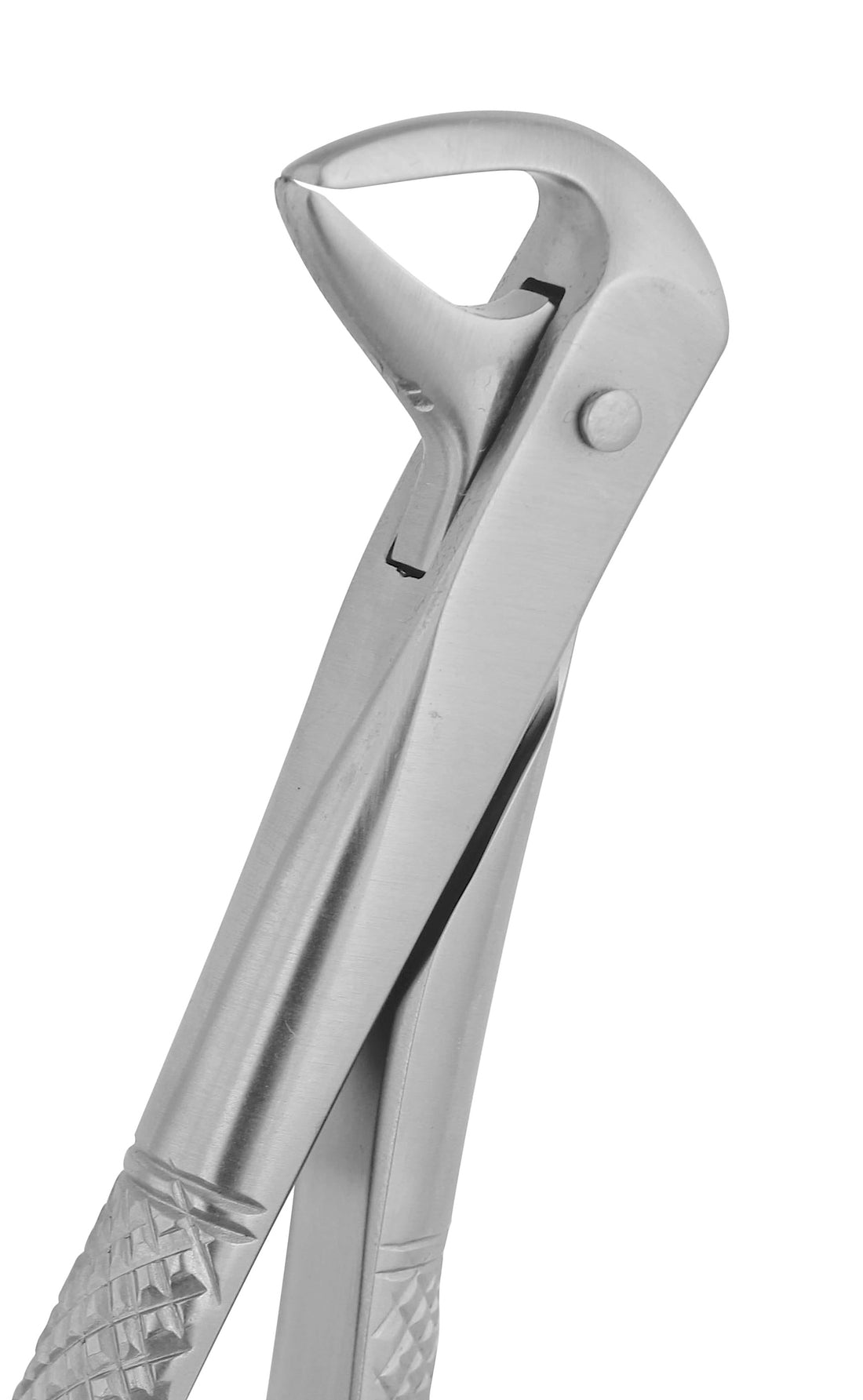 Extraction Forceps 123CE