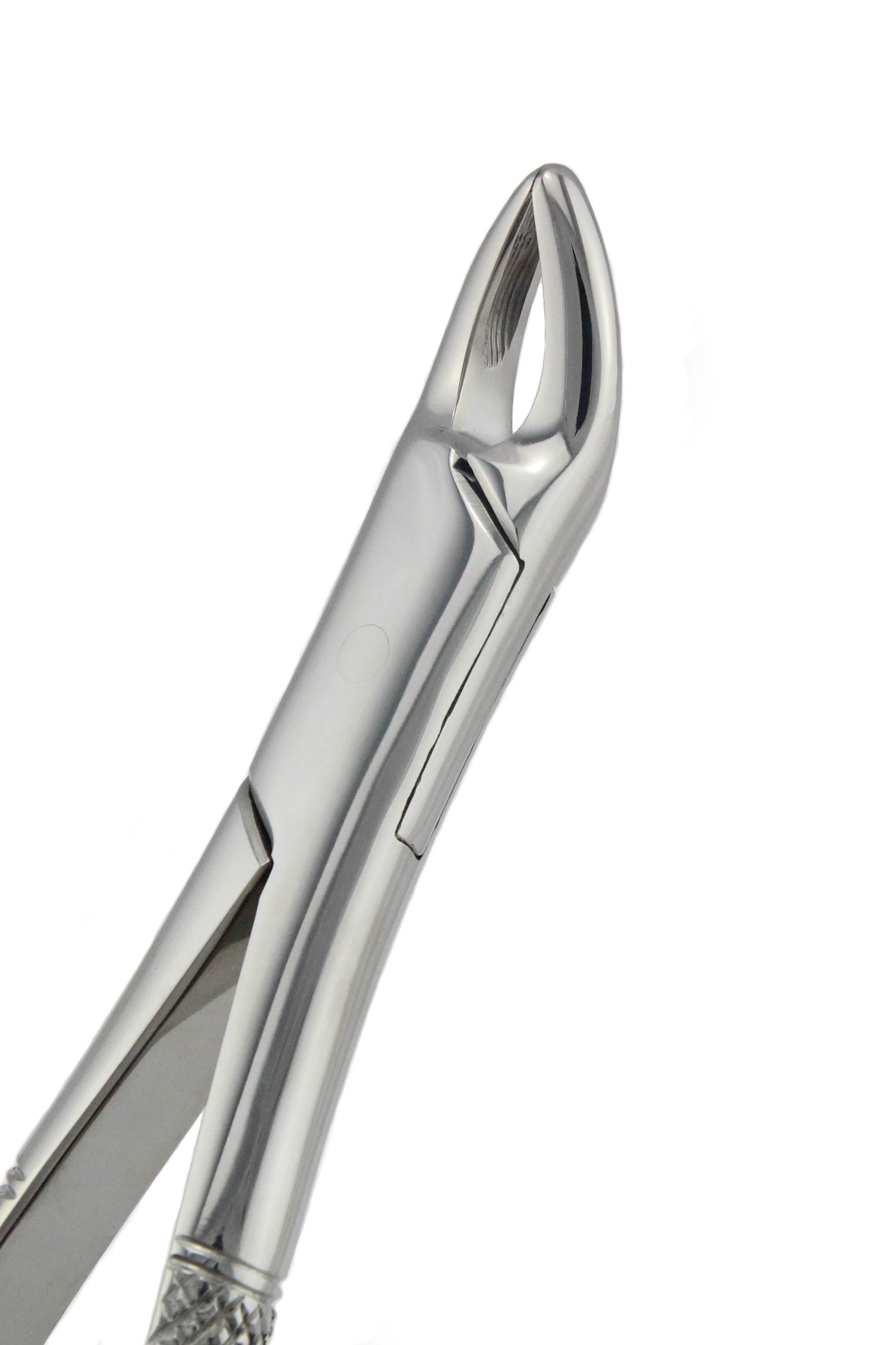 Extraction Forceps 023 &amp; 150 &amp; 151