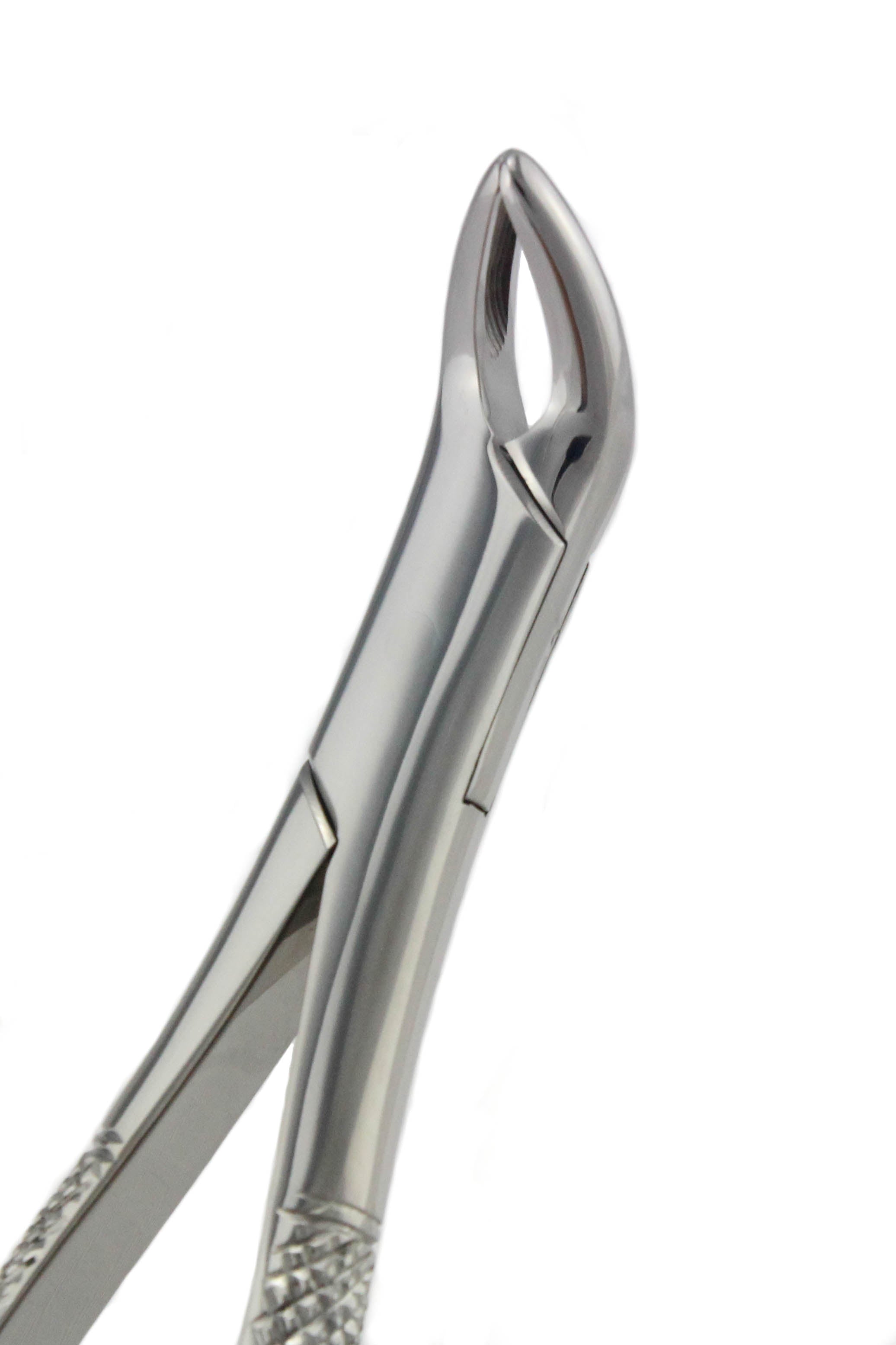 Lower Universal Forceps 151