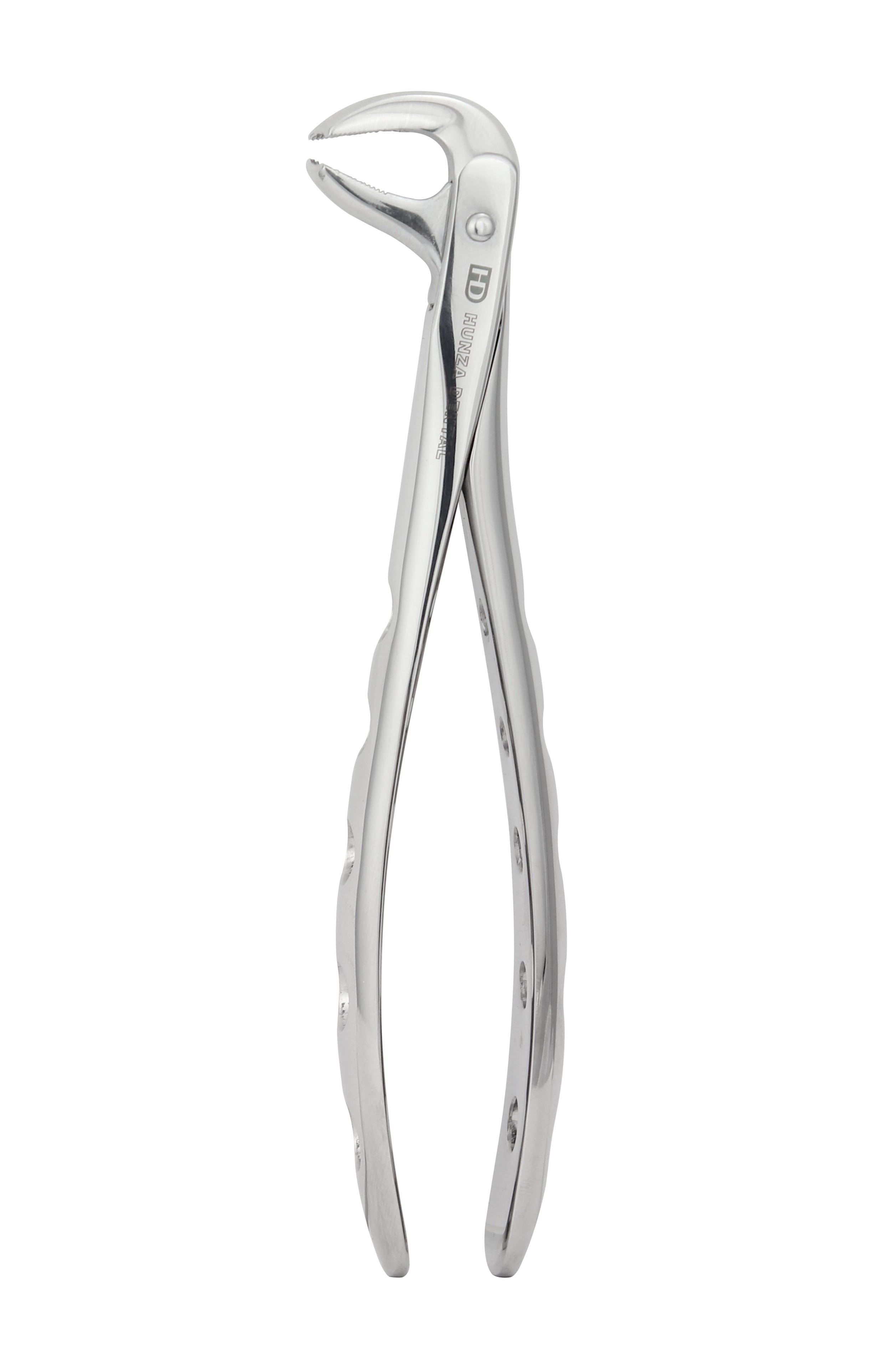 Ash Extraction Forceps 301, Serrated Tip