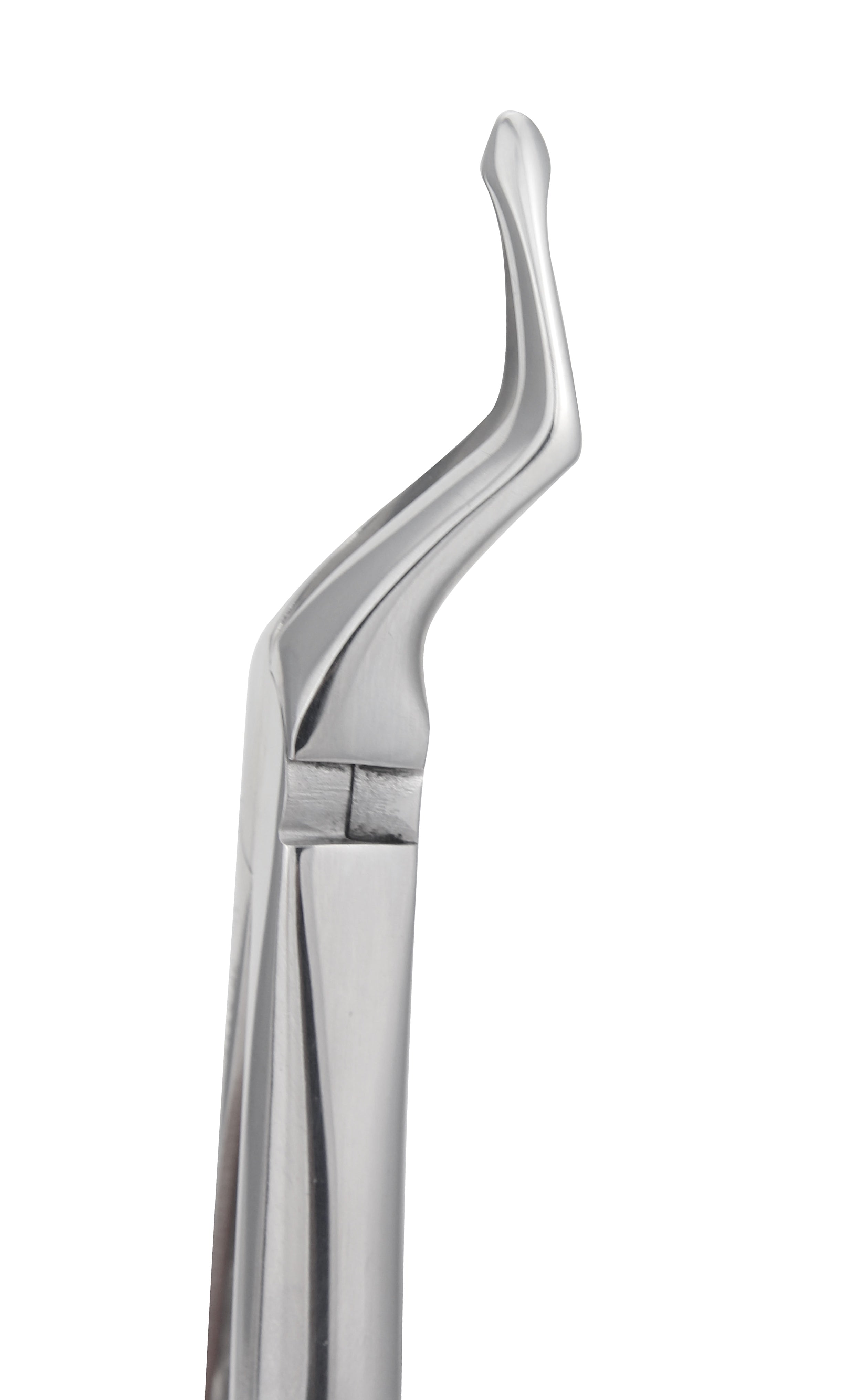 Upper Root Tip Forceps 5115