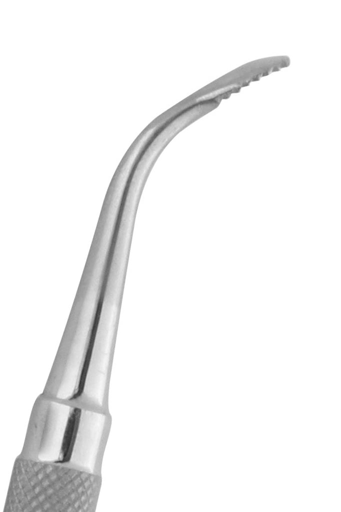 Wahl Bone File 2 Price in usa