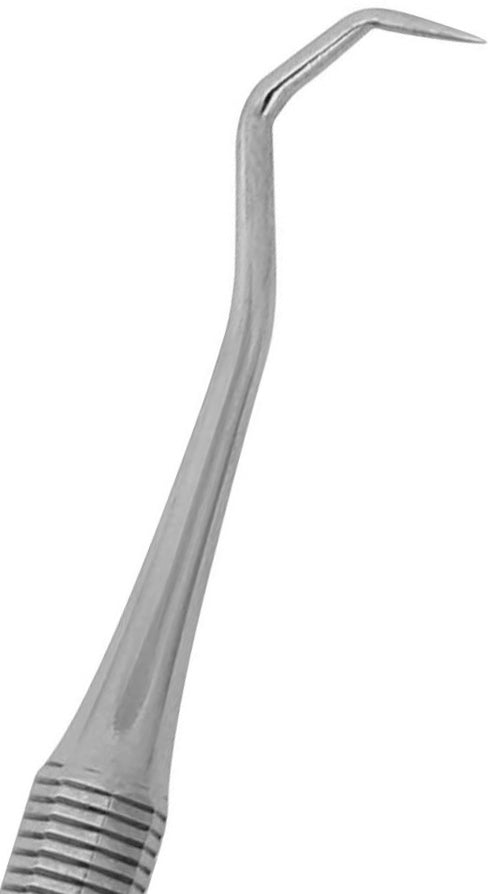 Scaler - Ligature Remover cost in new jersey