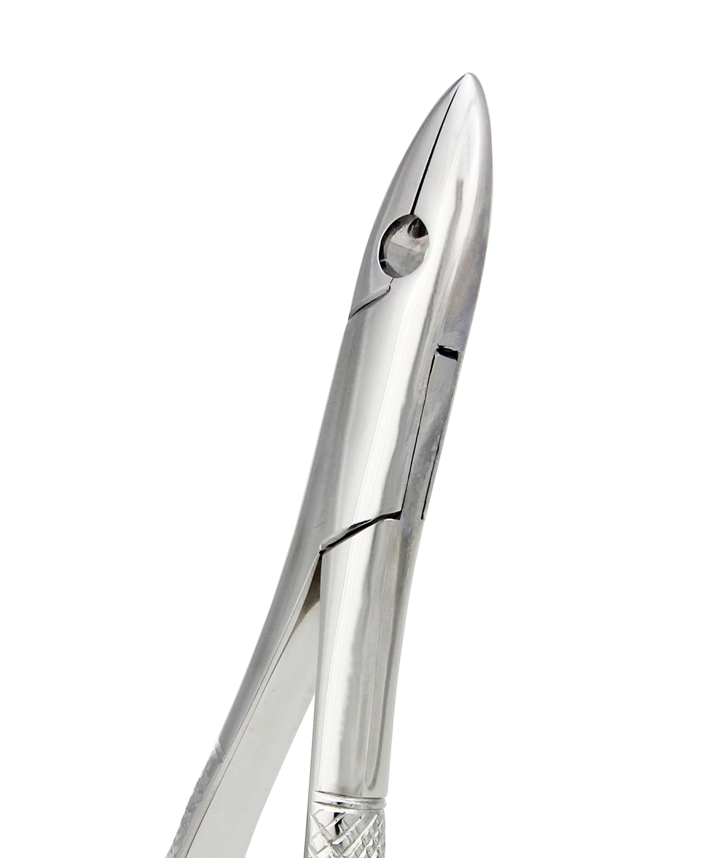 Extraction Forceps 001