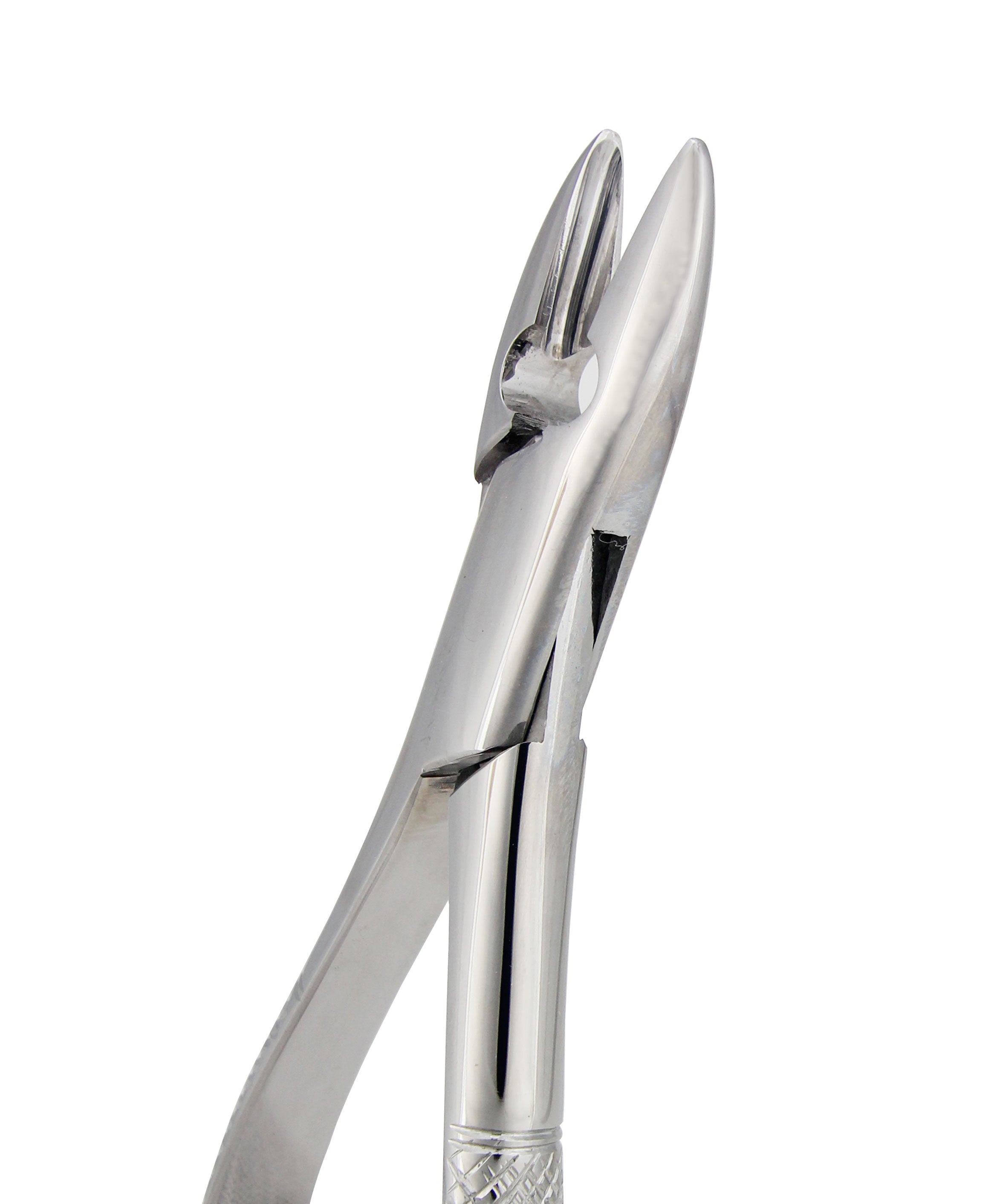 Extraction Forceps 001