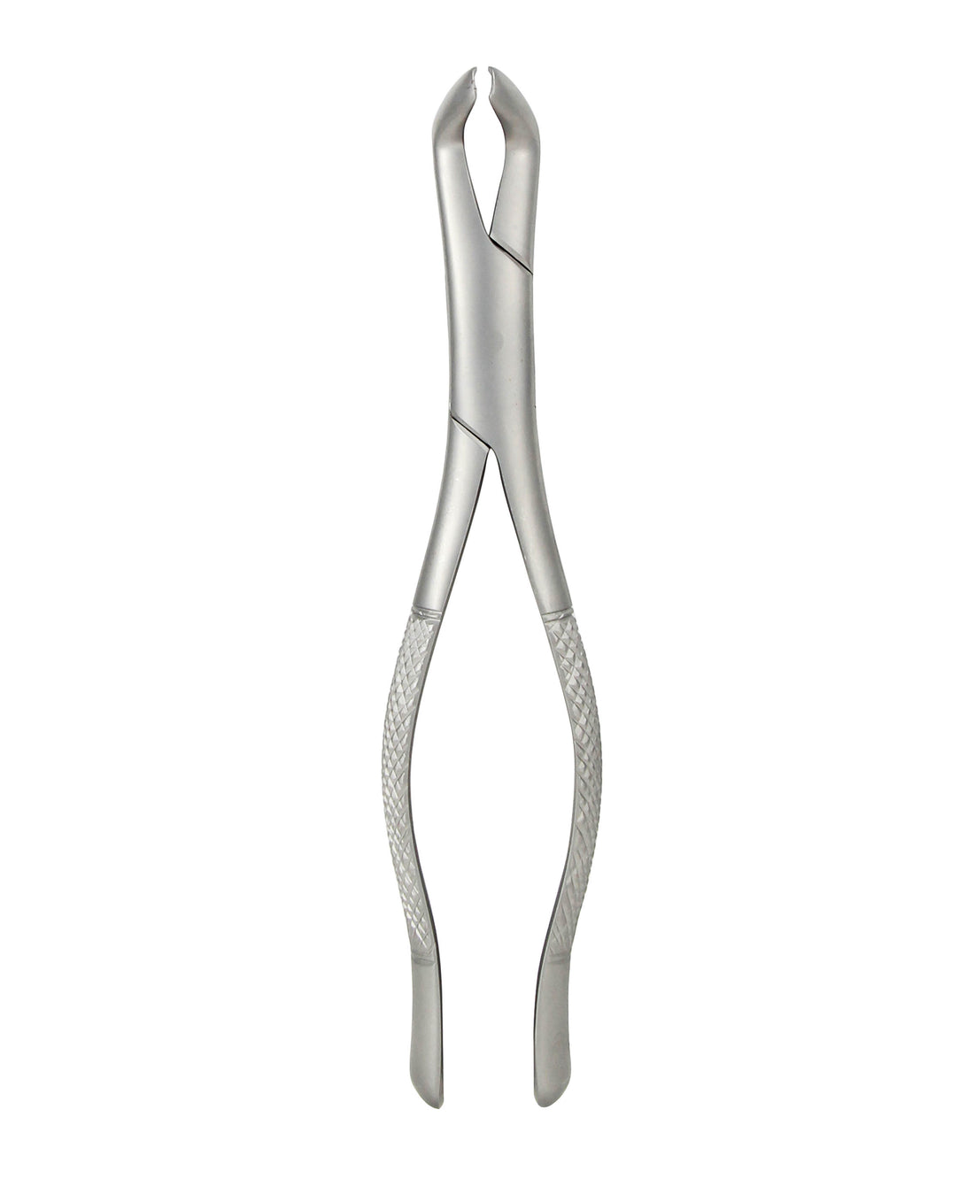 Lower 3rd Molars Forceps 222