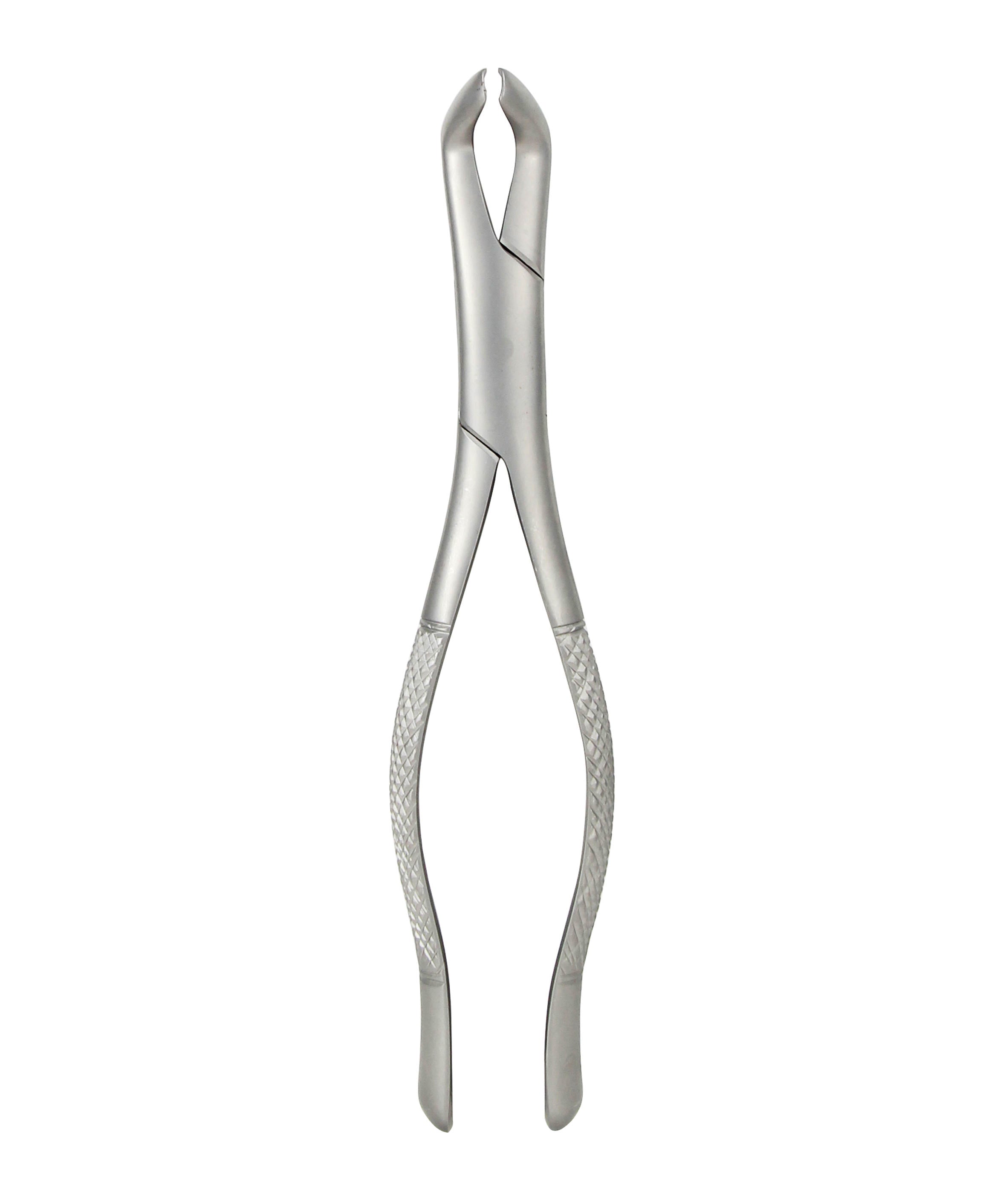 A pair of silver-colored dental extraction forceps made of surgical stainless steel.