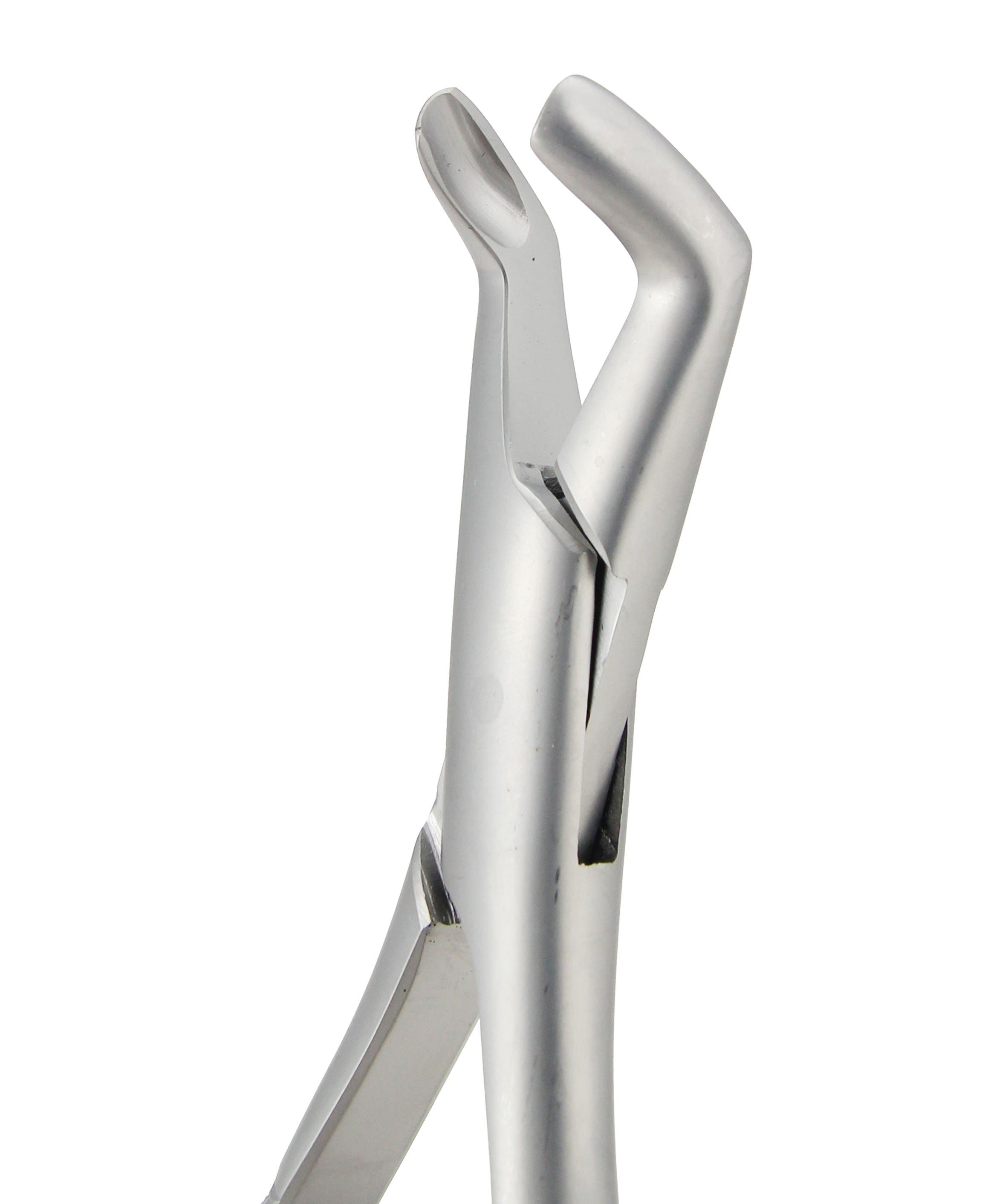 Lower 3rd Molars Forceps 222 price in usa