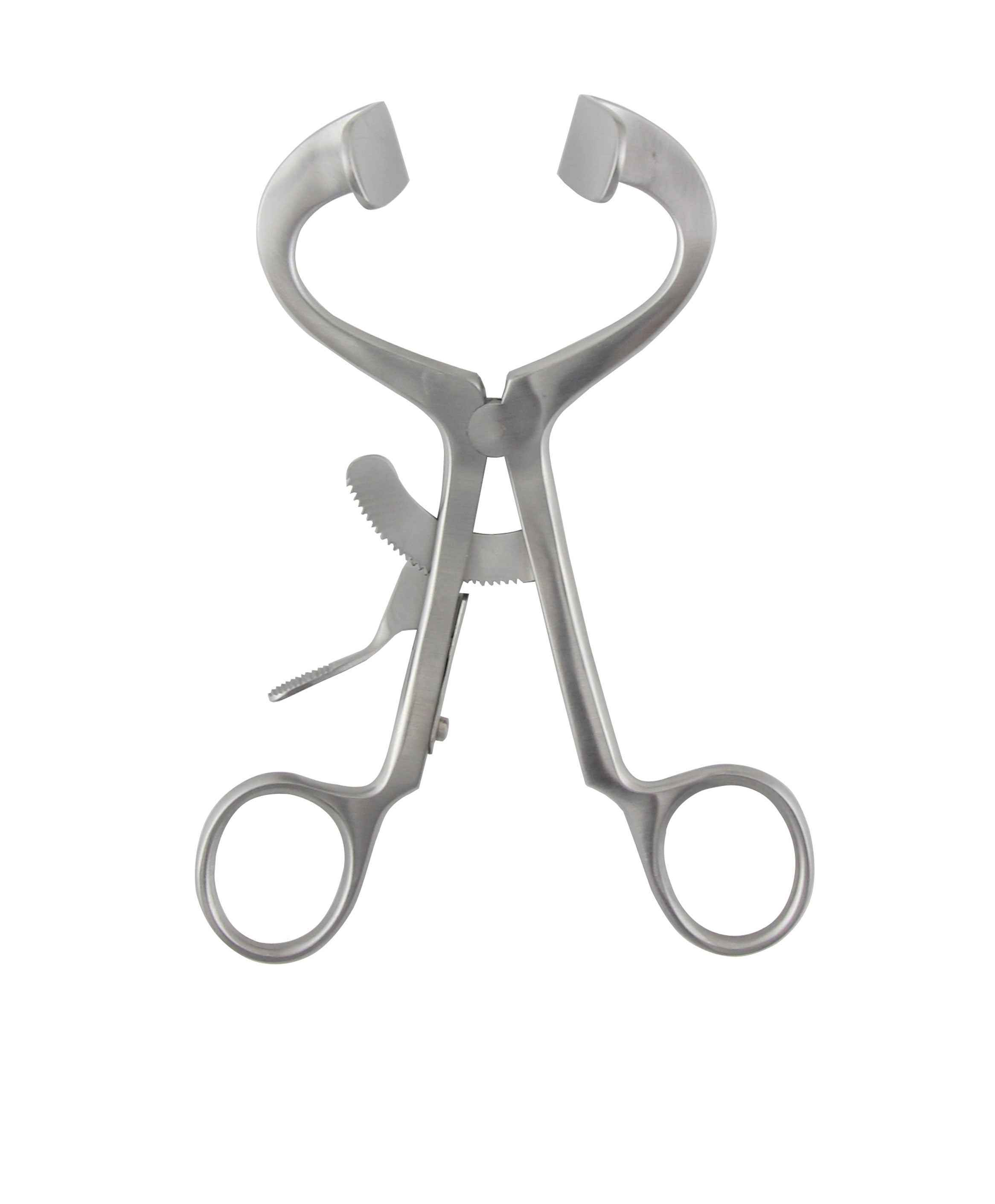 shop Molt Mouth Gag