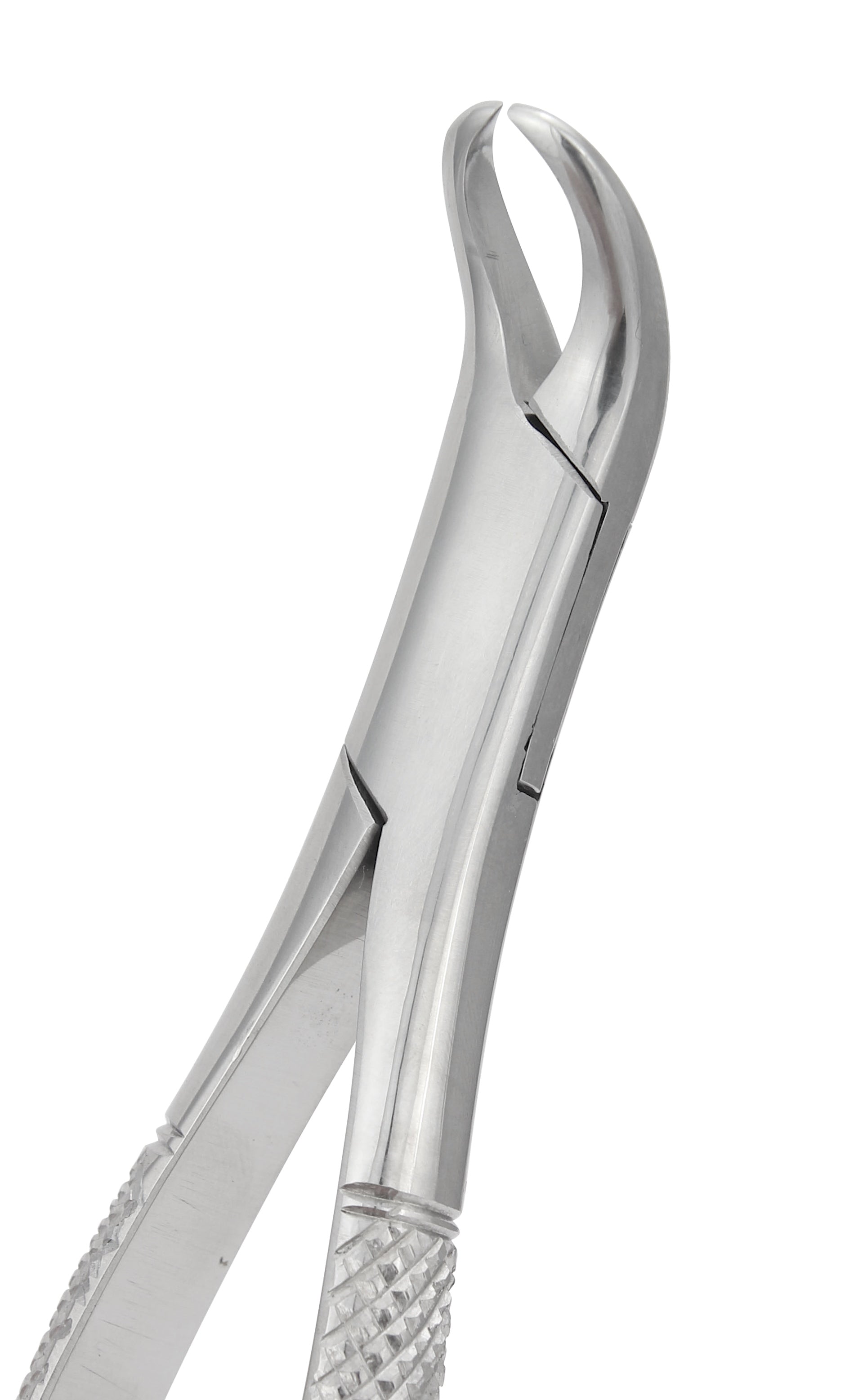 What Are Cowhorn Forceps and When to Use Them