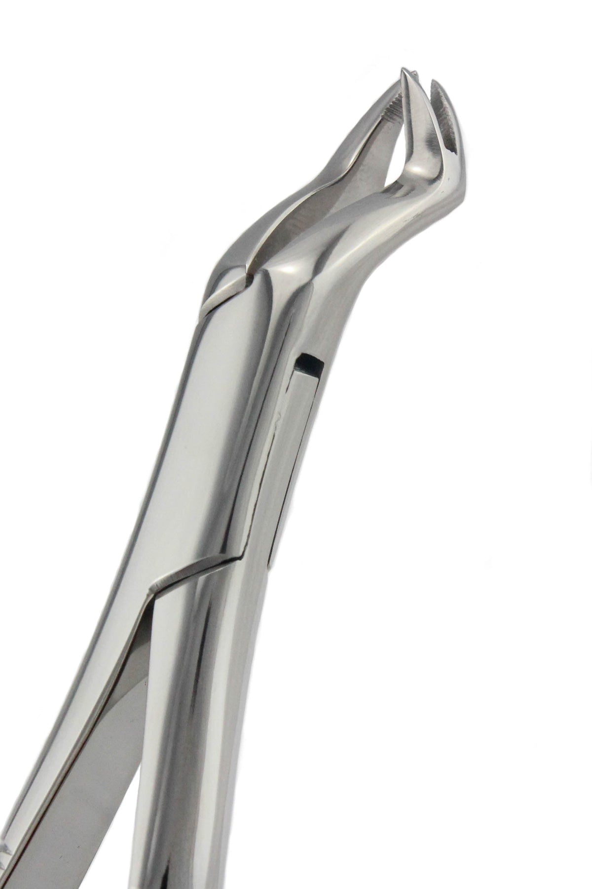 Serrated-Beak vs Smooth-Beak Forceps: The Complete Tooth-by-Tooth Extraction Guide