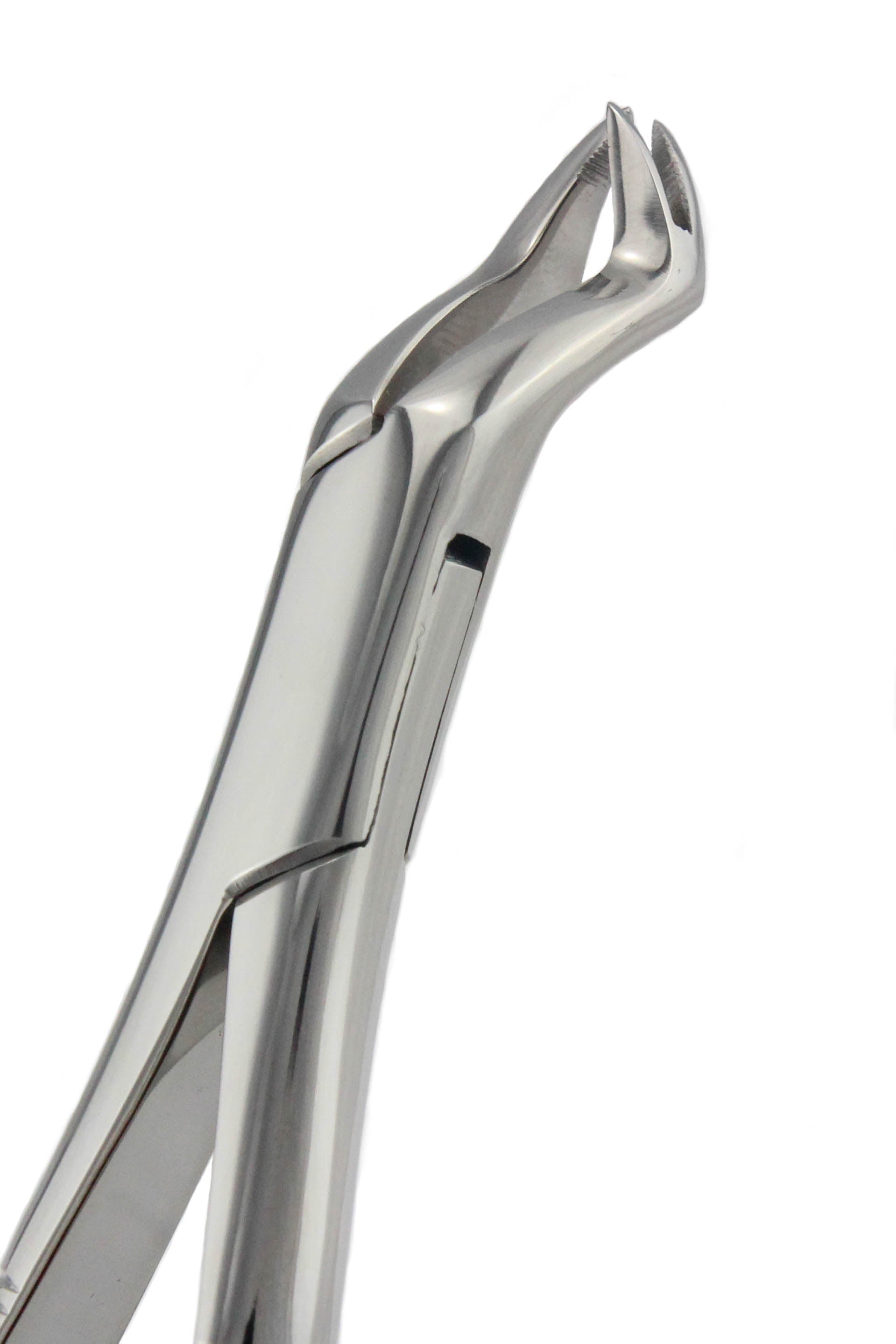 Serrated-Beak vs Smooth-Beak Forceps: The Complete Tooth-by-Tooth Extraction Guide