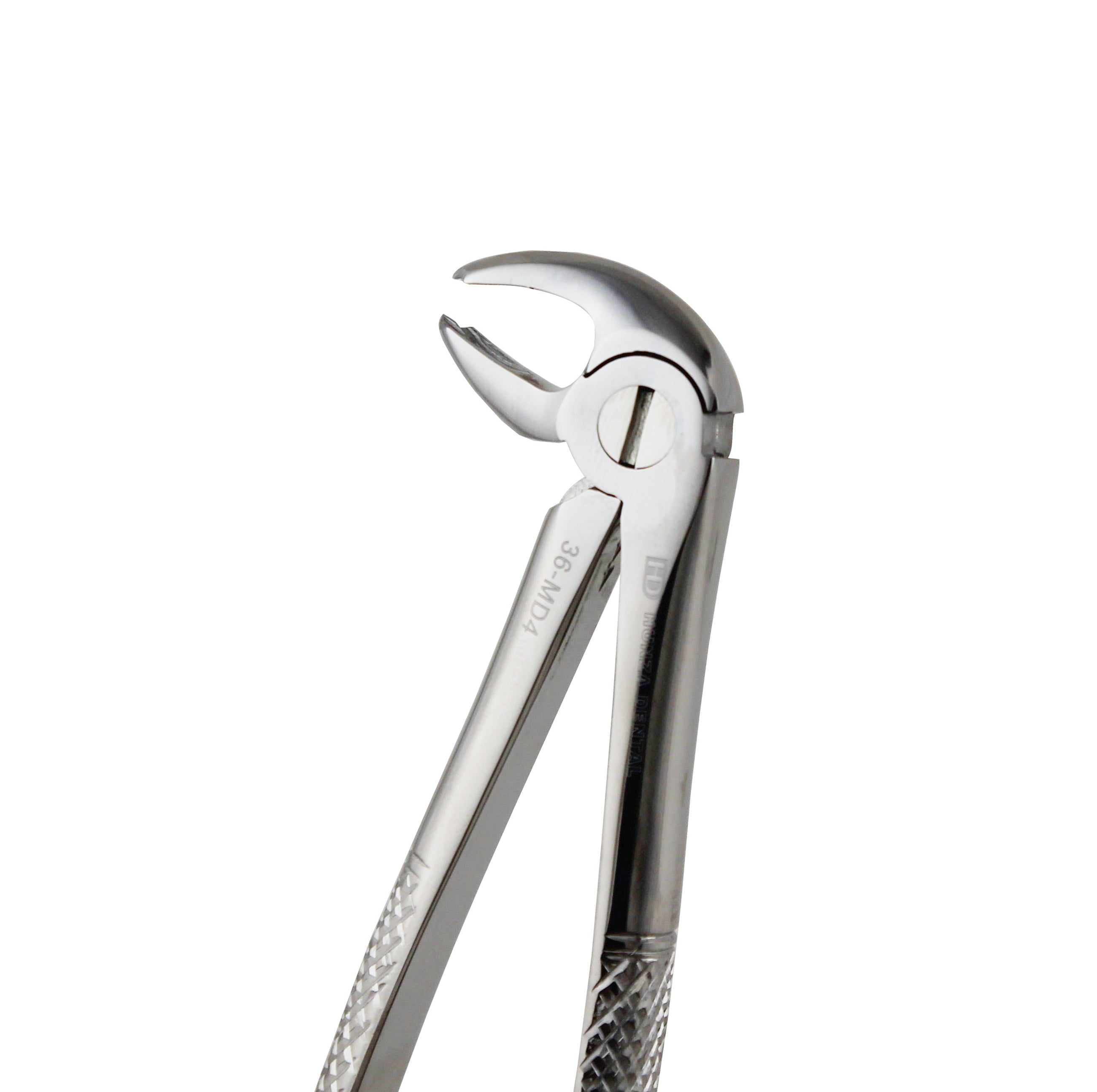 Dental Forceps Numbering Chart Explained (The Complete #1, #150, #88L/R & Universal Guide)