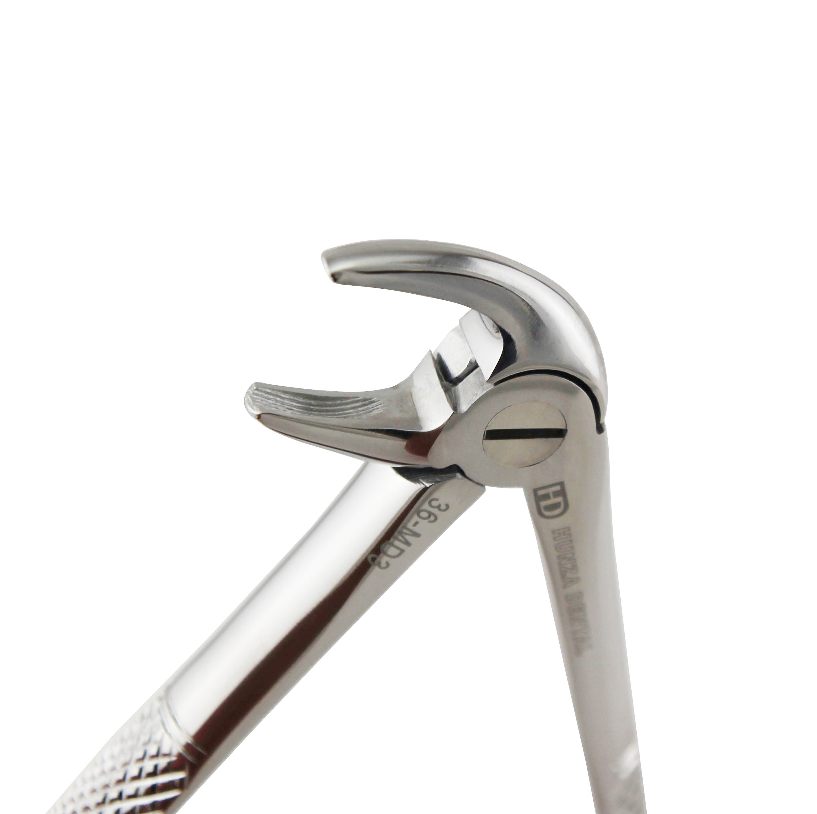 Extraction Forceps vs Elevators: Their Distinct Roles in a Single Tooth Extraction