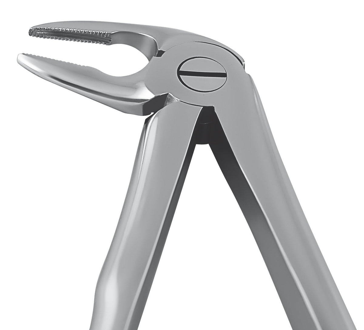 stainless steel dental instrument, likely a forceps or clamp, shown against a solid white background.