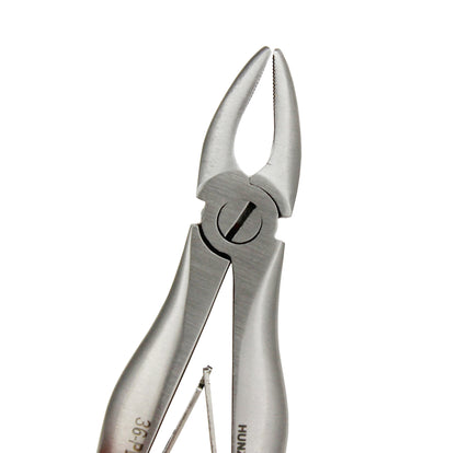Extraction Forceps 101, Universal Cow Horn, Pediatric