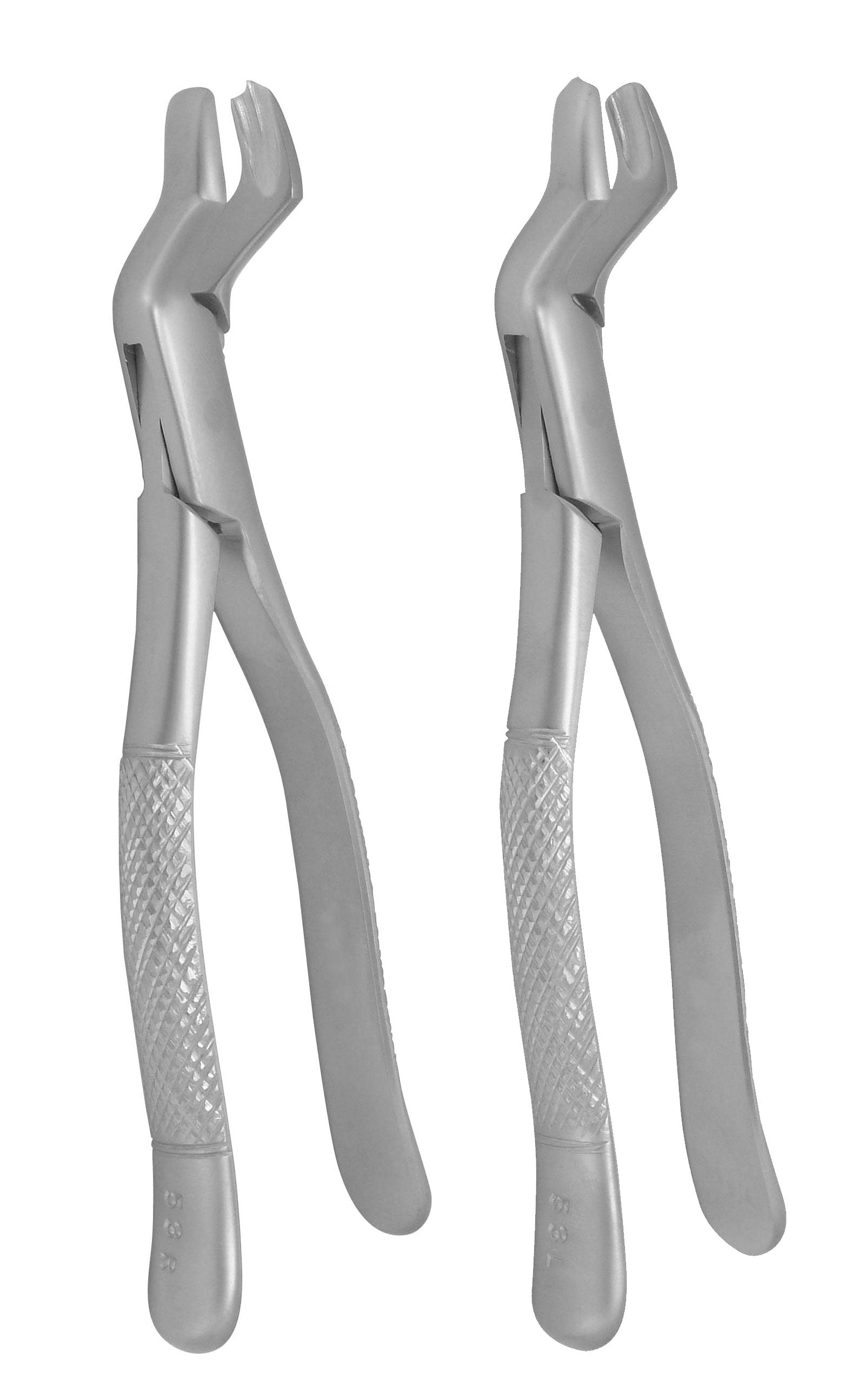 Extraction Forceps 53L &amp; 53R