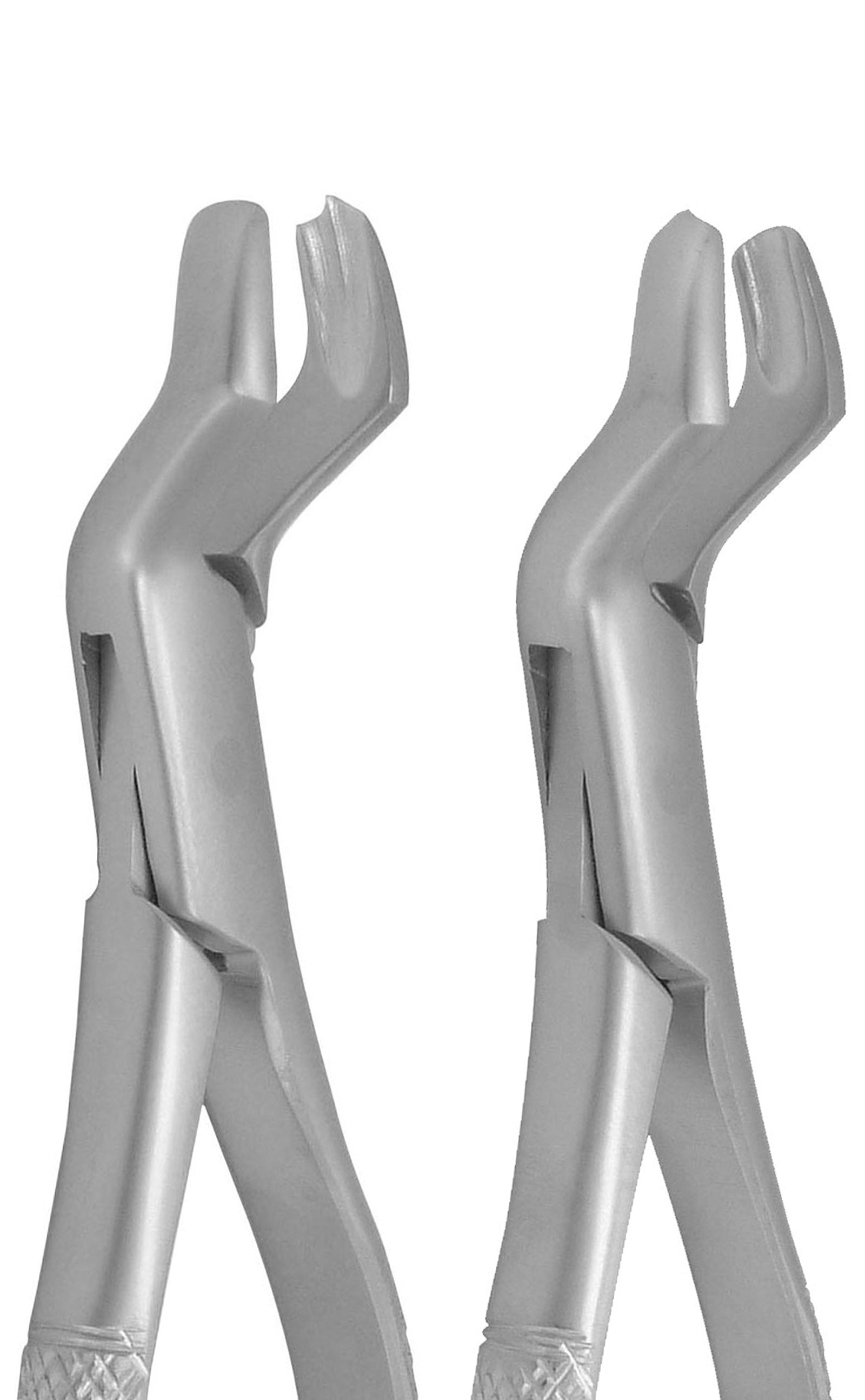Extraction Forceps 53L &amp; 53R