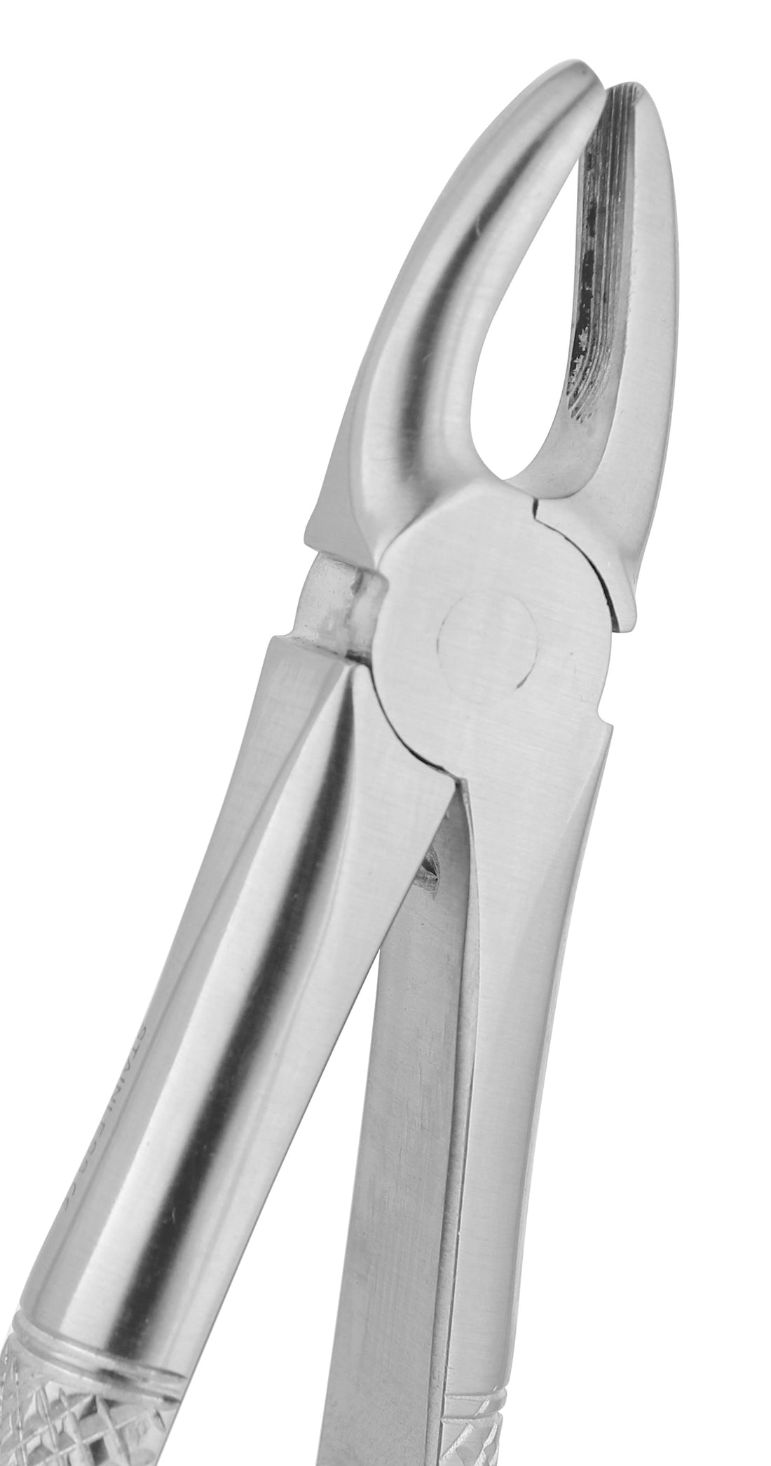 Extraction Forceps 002E