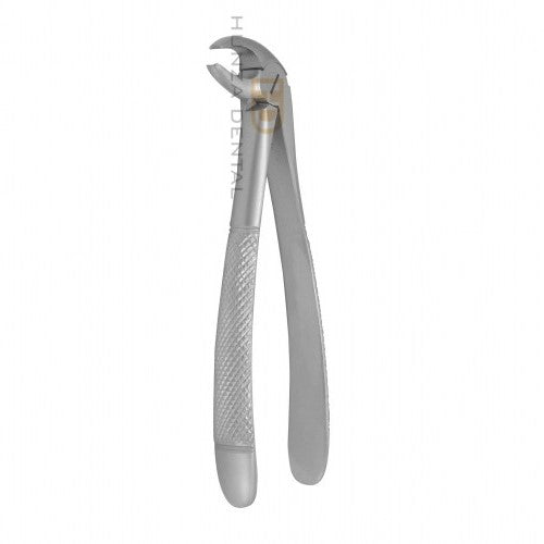 Extraction Forceps 013E