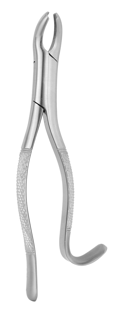 Extraction Forceps 015