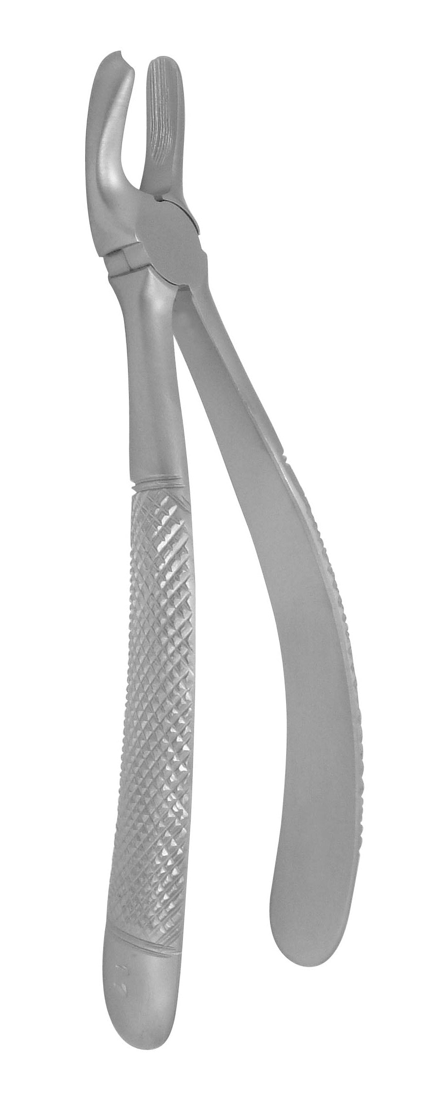 Extraction Forceps 017E