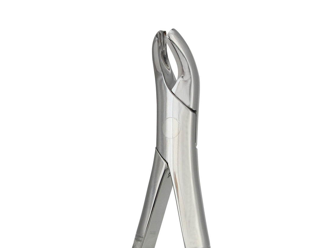 Extraction Forceps 18L