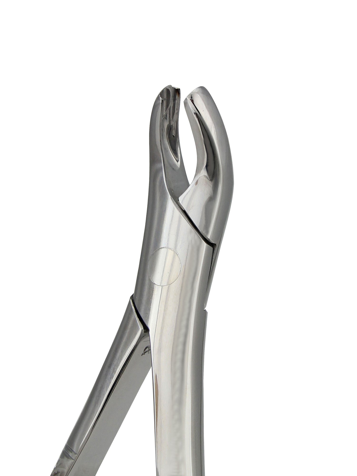 Extraction Forceps 18L