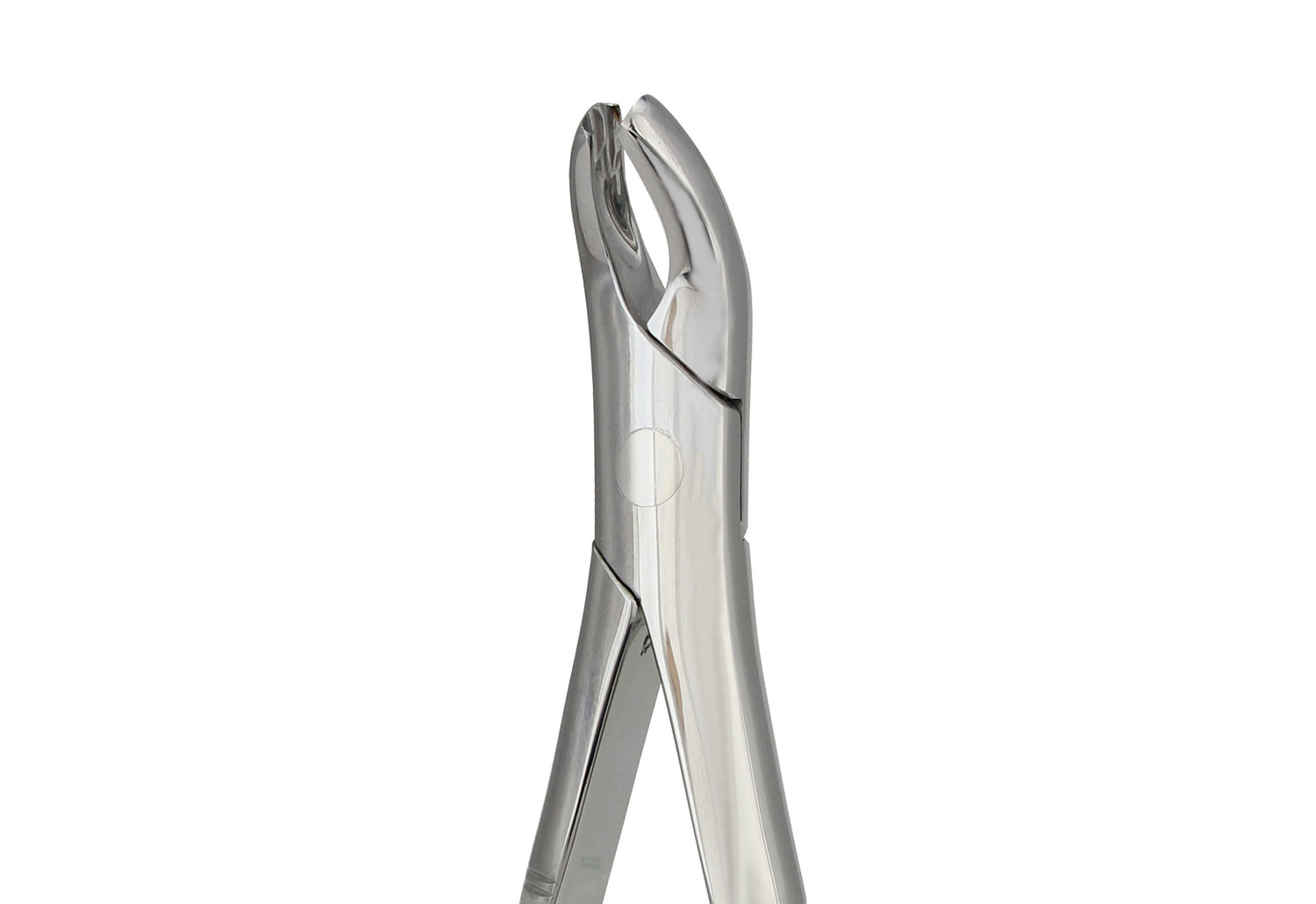 Extraction Forceps 18R