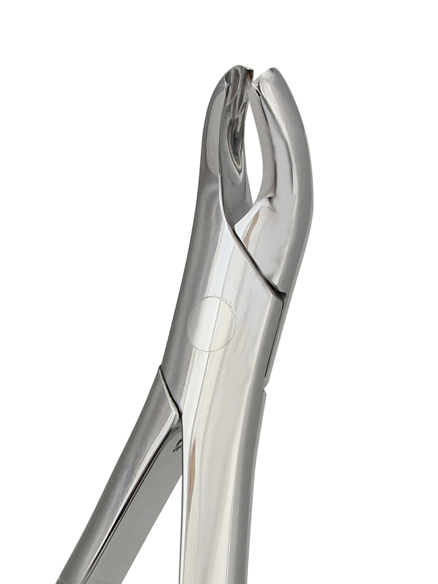 Extraction Forceps 18R