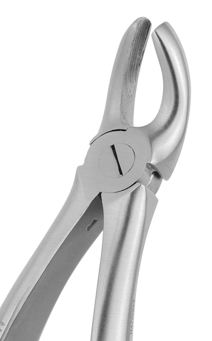 Extraction Forceps 019E