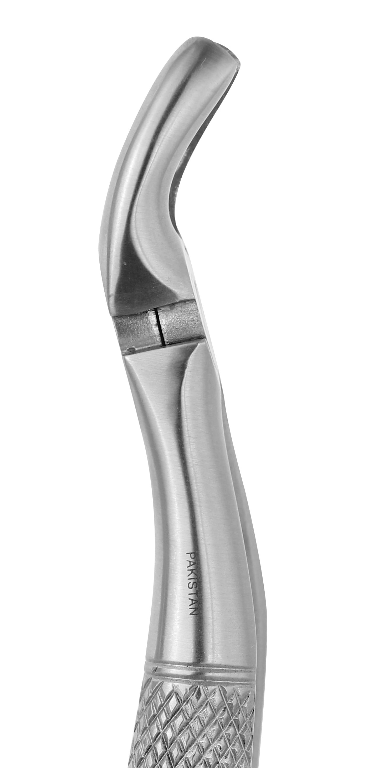 Extraction Forceps 019E