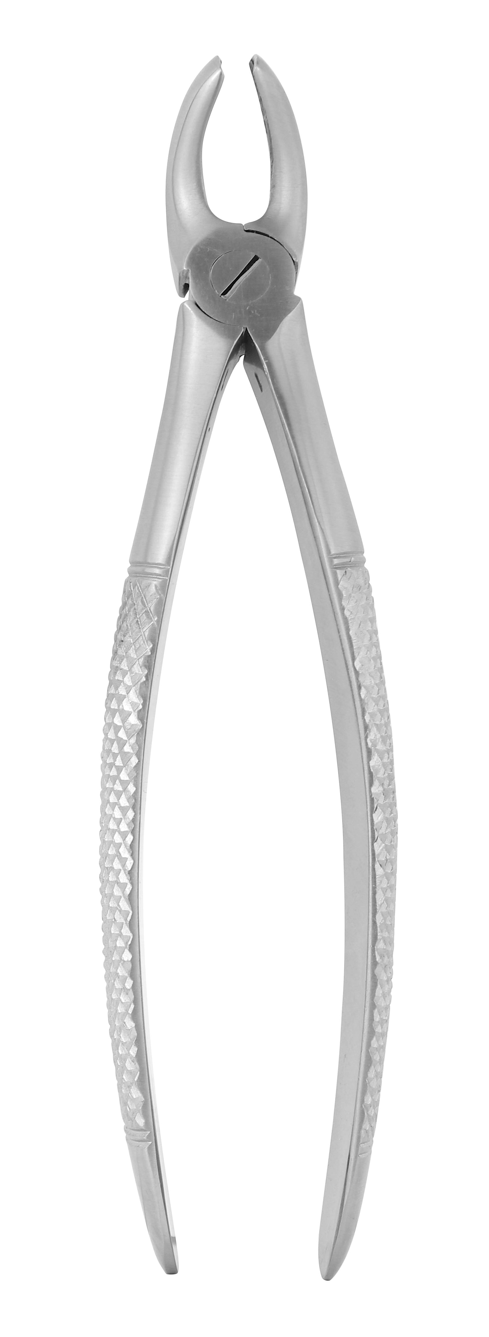 Extraction Forceps 019E